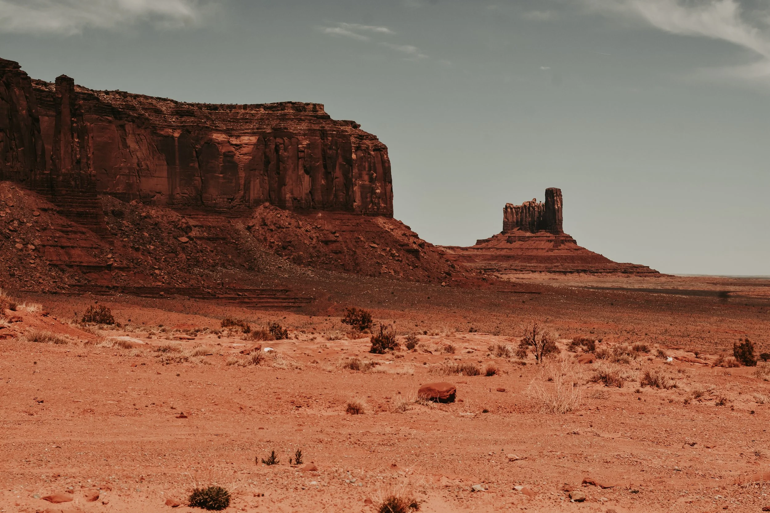 DSC_8286.jpg