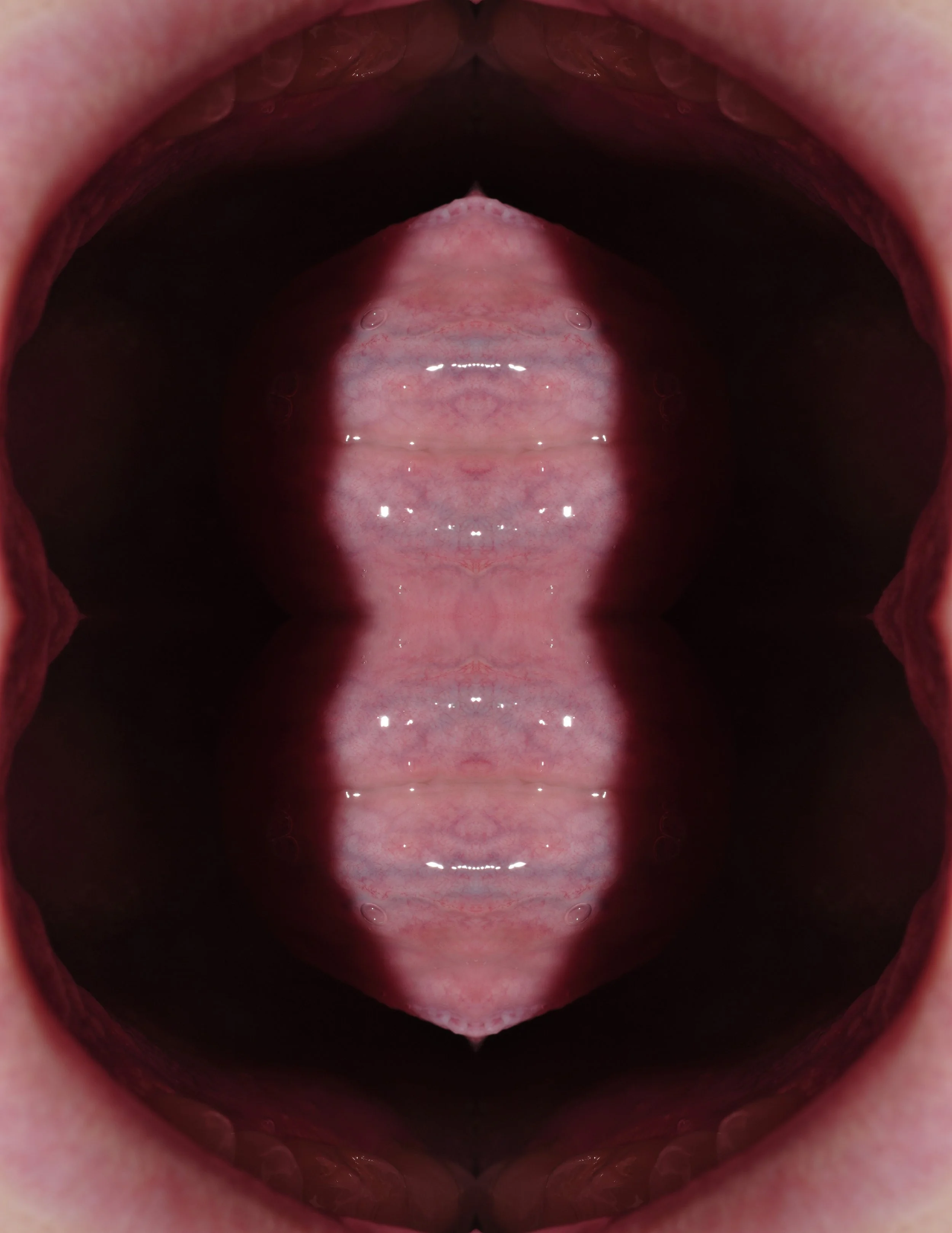 _DSC090667887small.jpg