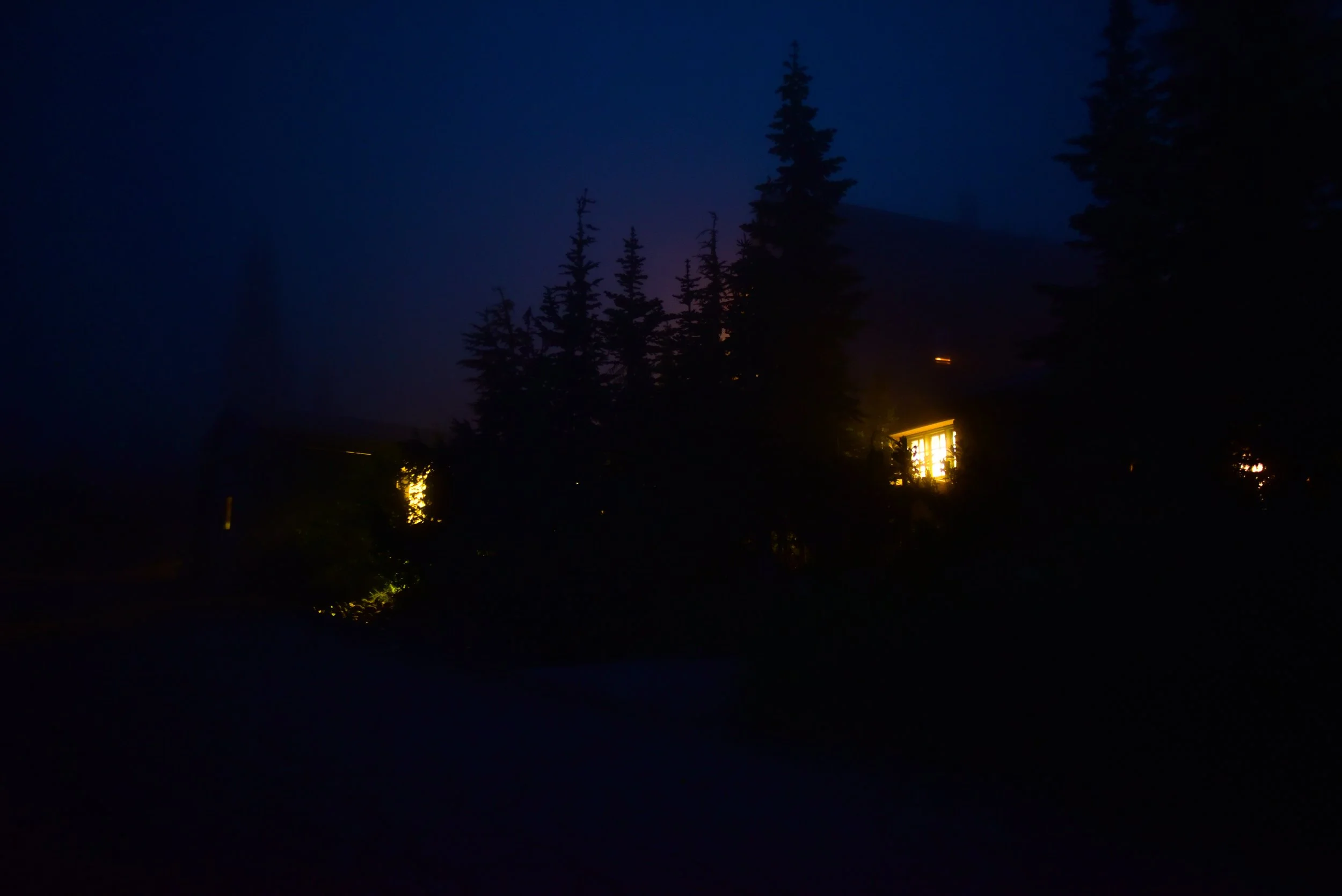DSC_2505.jpg