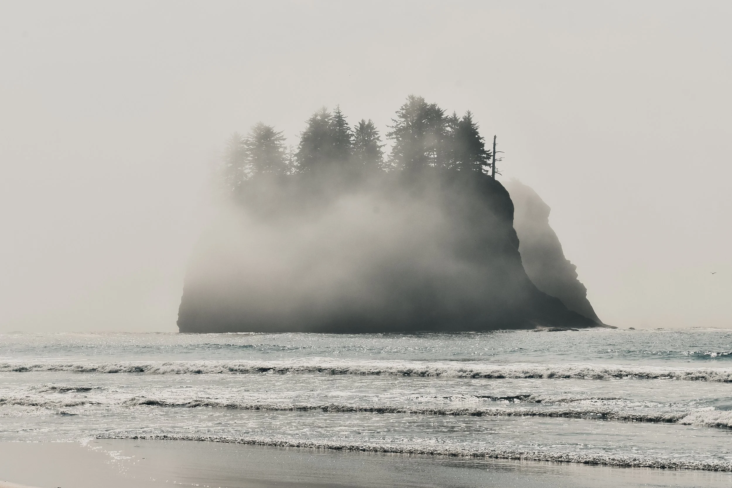 _DSC6208.jpg
