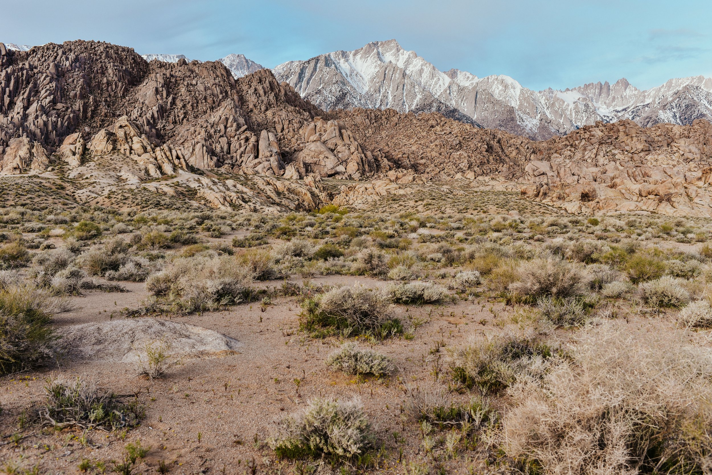 _DSC7261.jpg