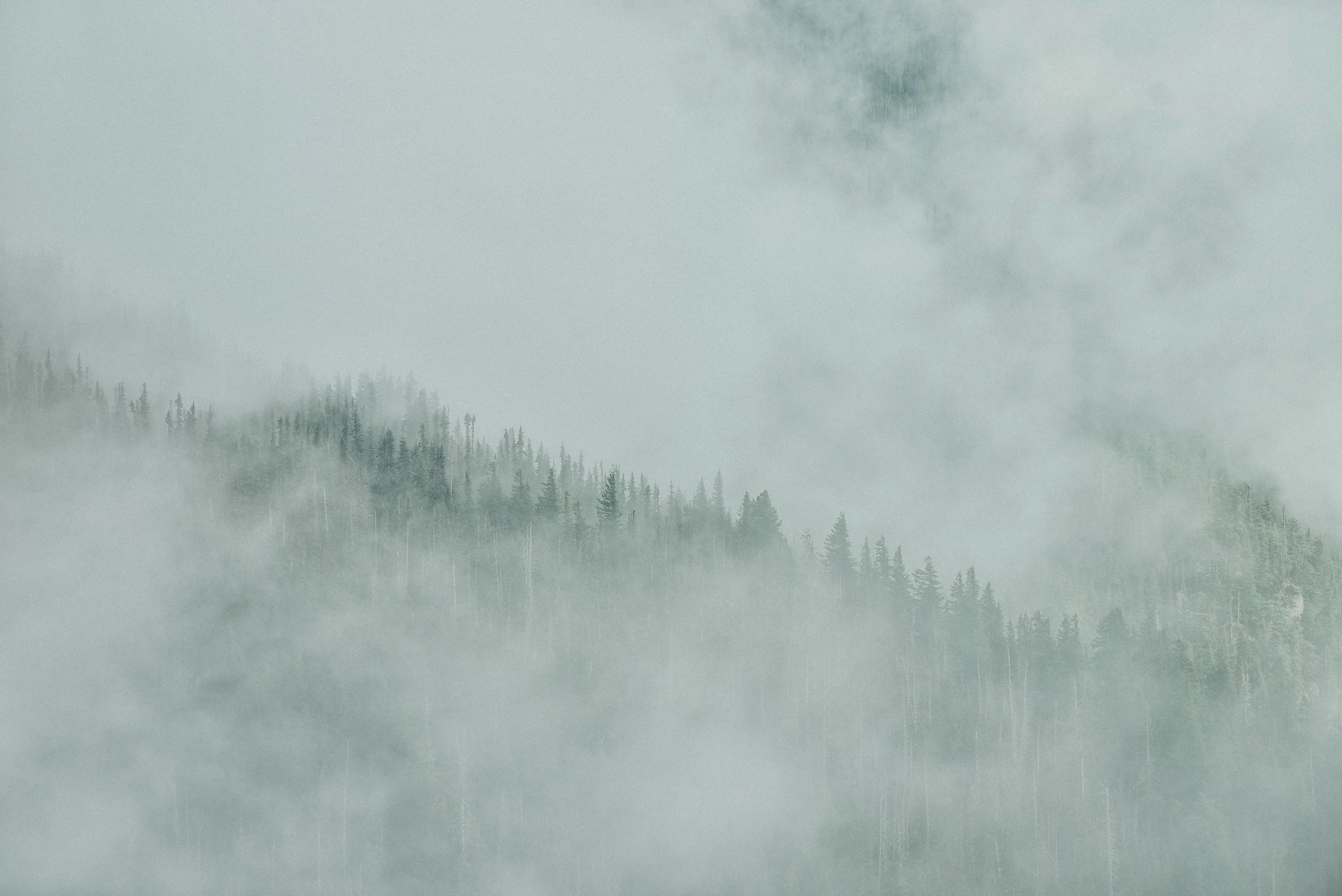 _DSC8784.jpg
