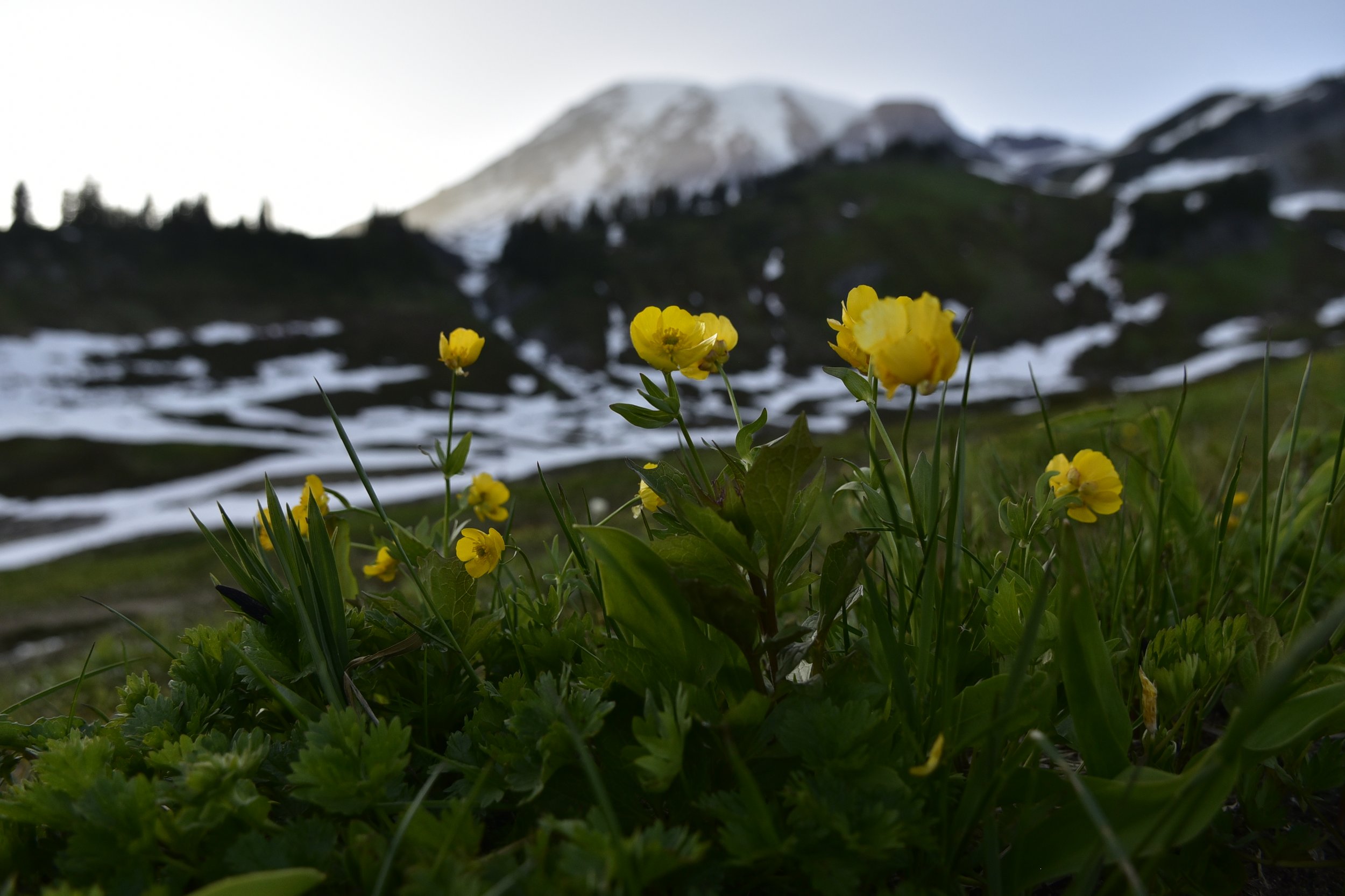 _DSC5696.JPG
