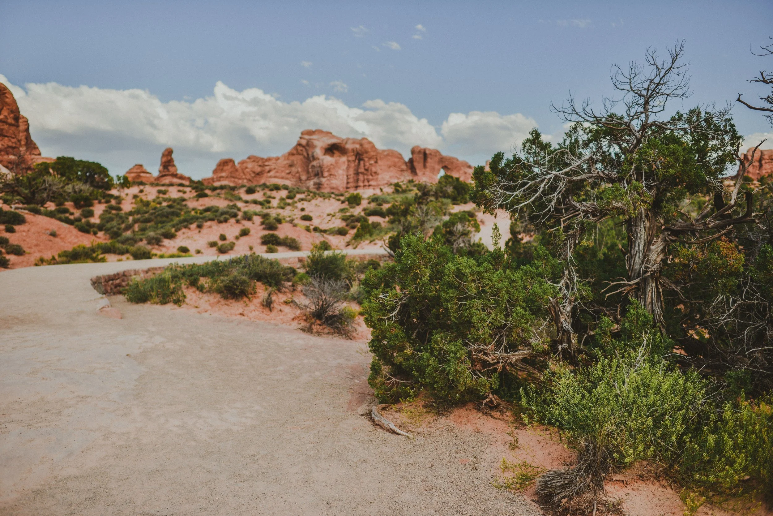 DSC_1737-2.jpg