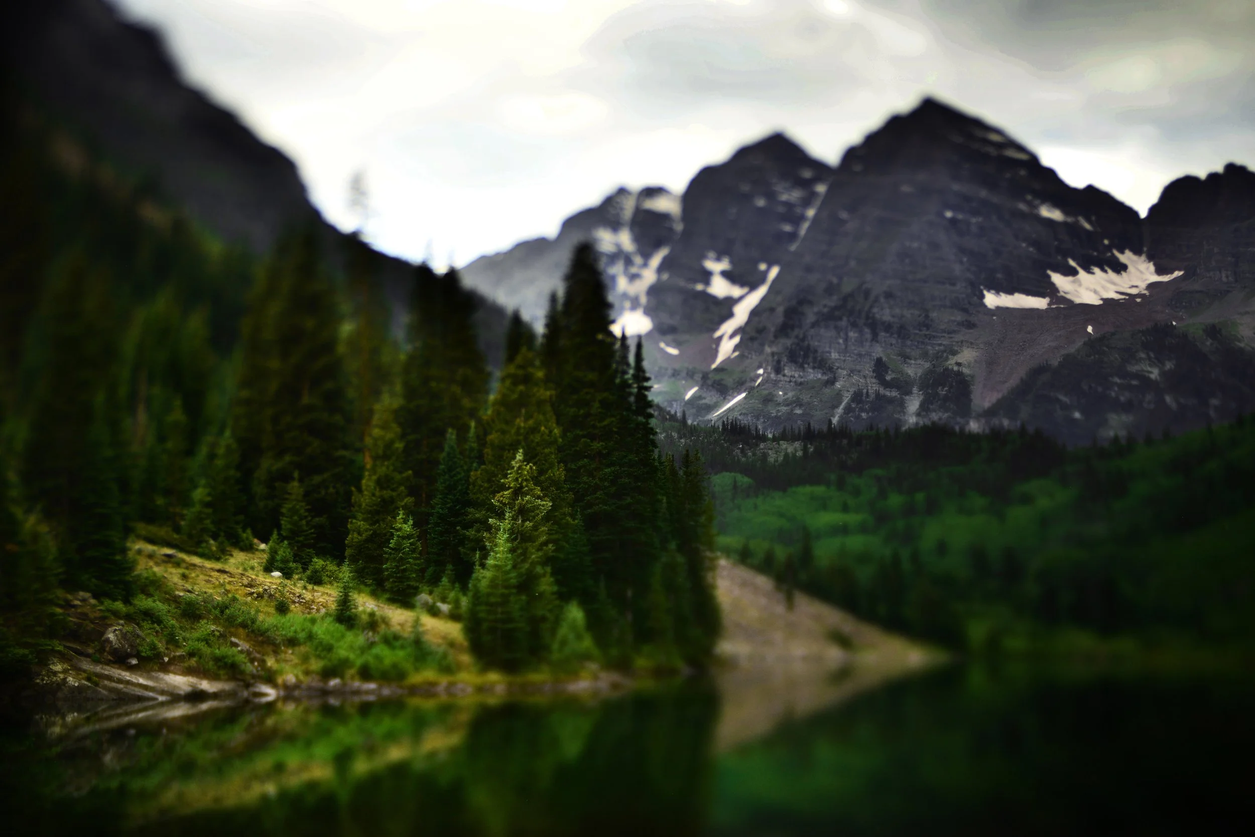 DSC_8692sml.jpg