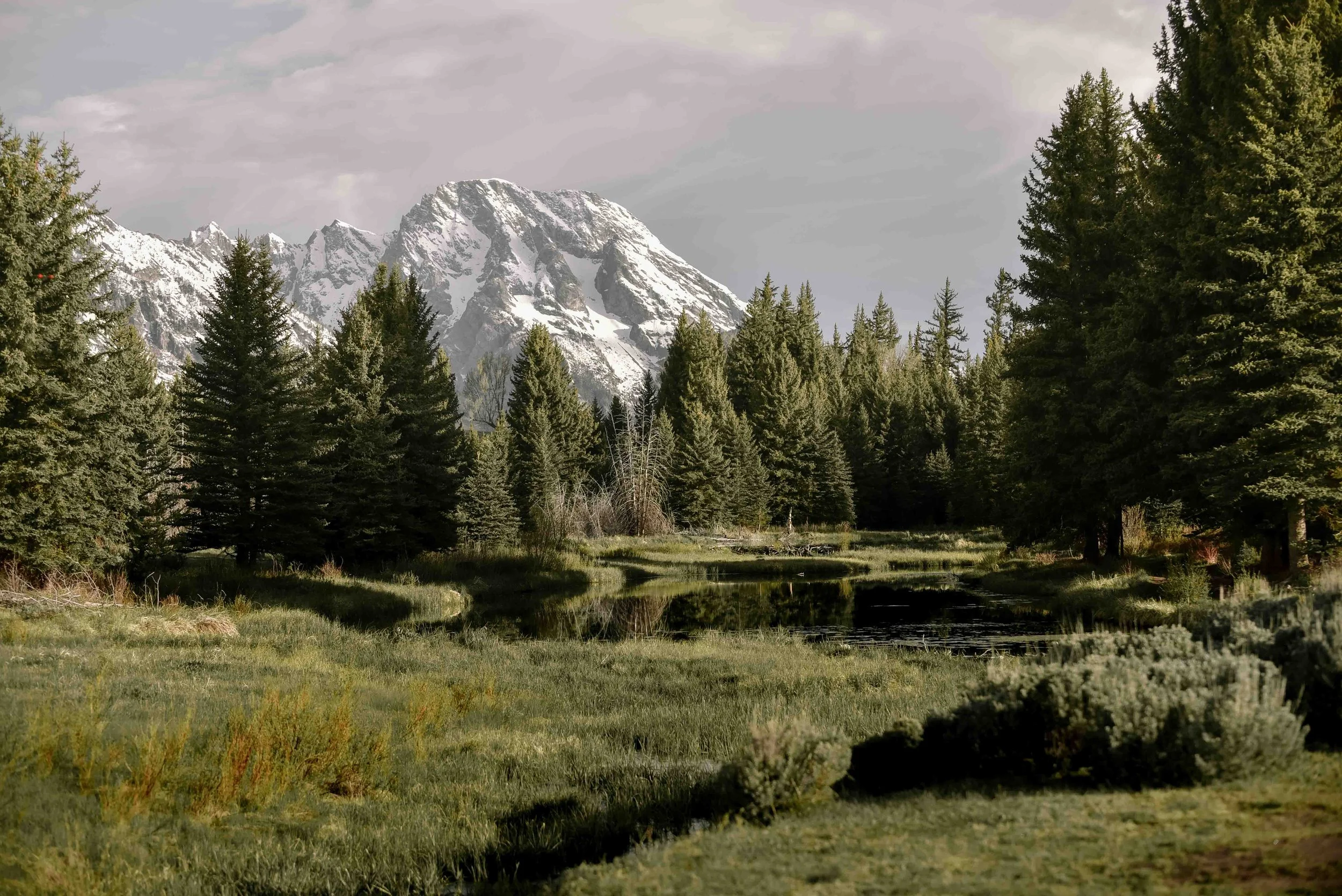 DSC_5959.jpg