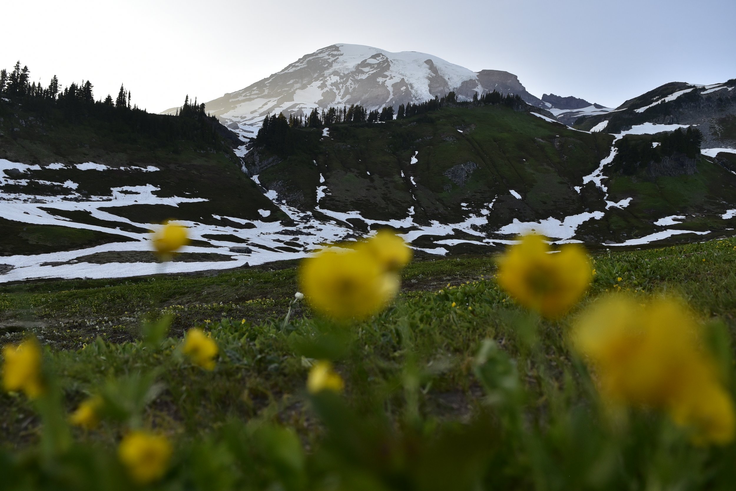 _DSC5690.JPG