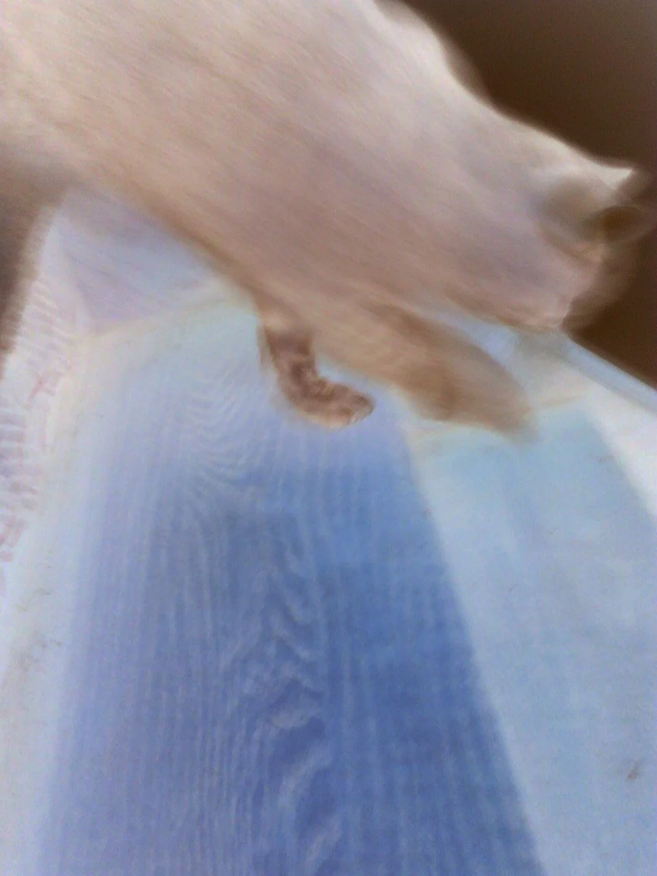 0104122141.jpg