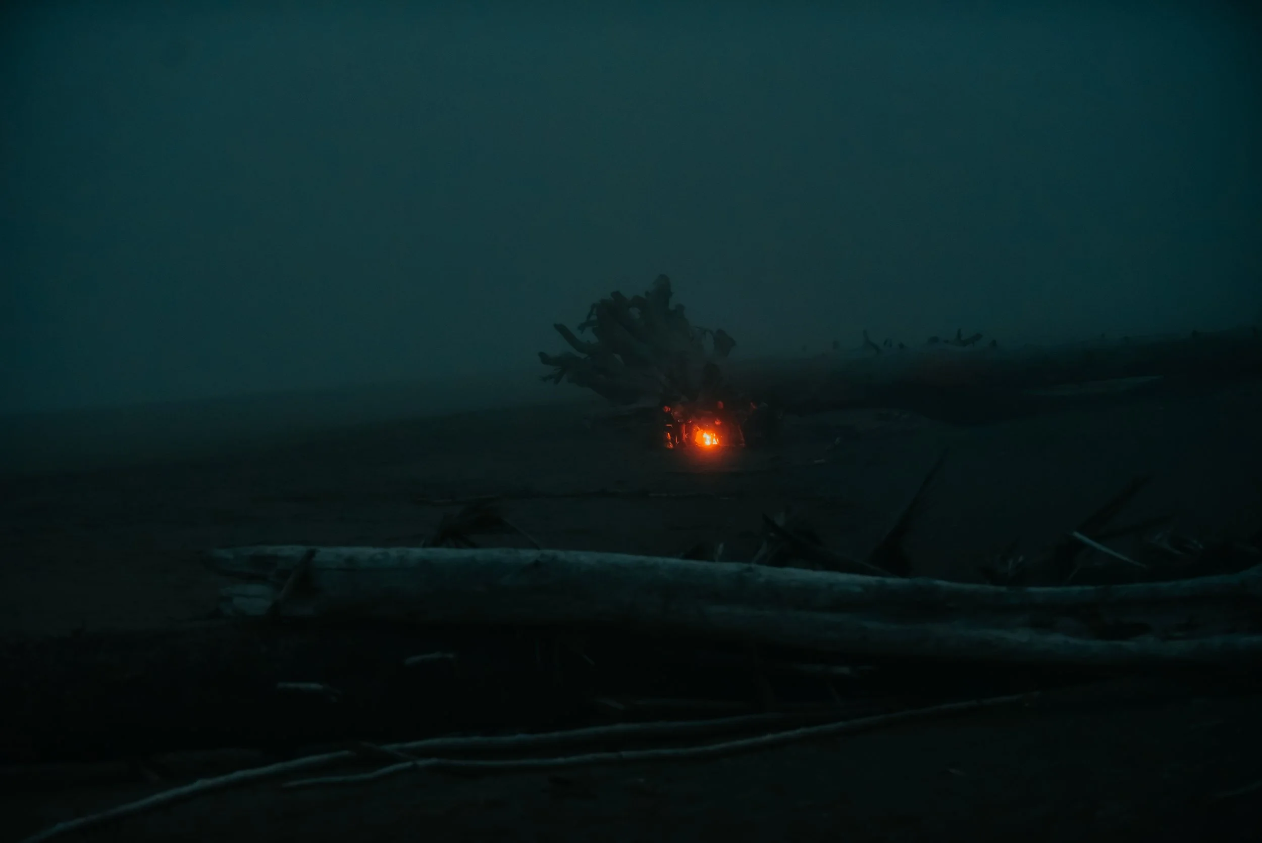 DSC_4692.jpg