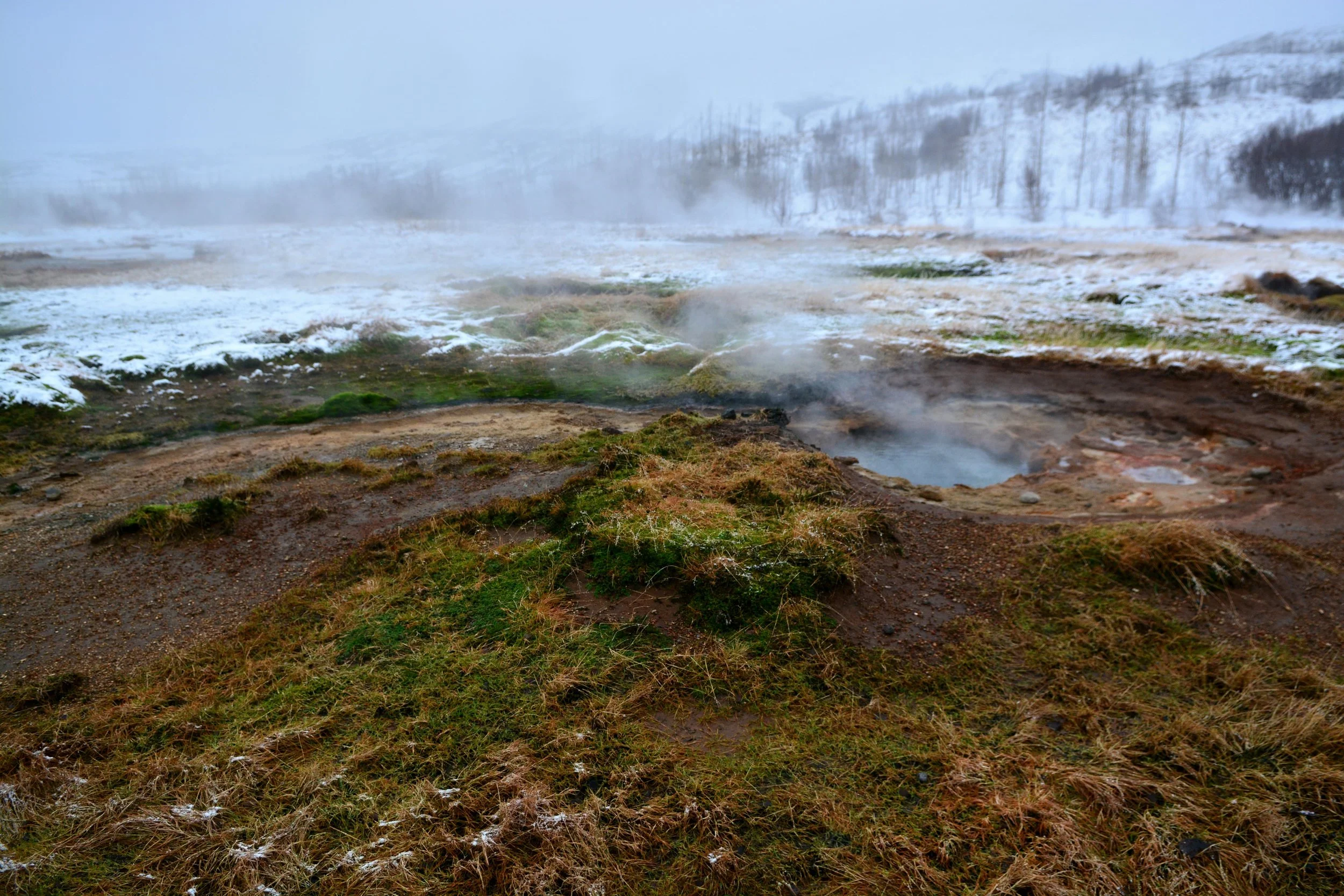 DSC_6287sml.jpg