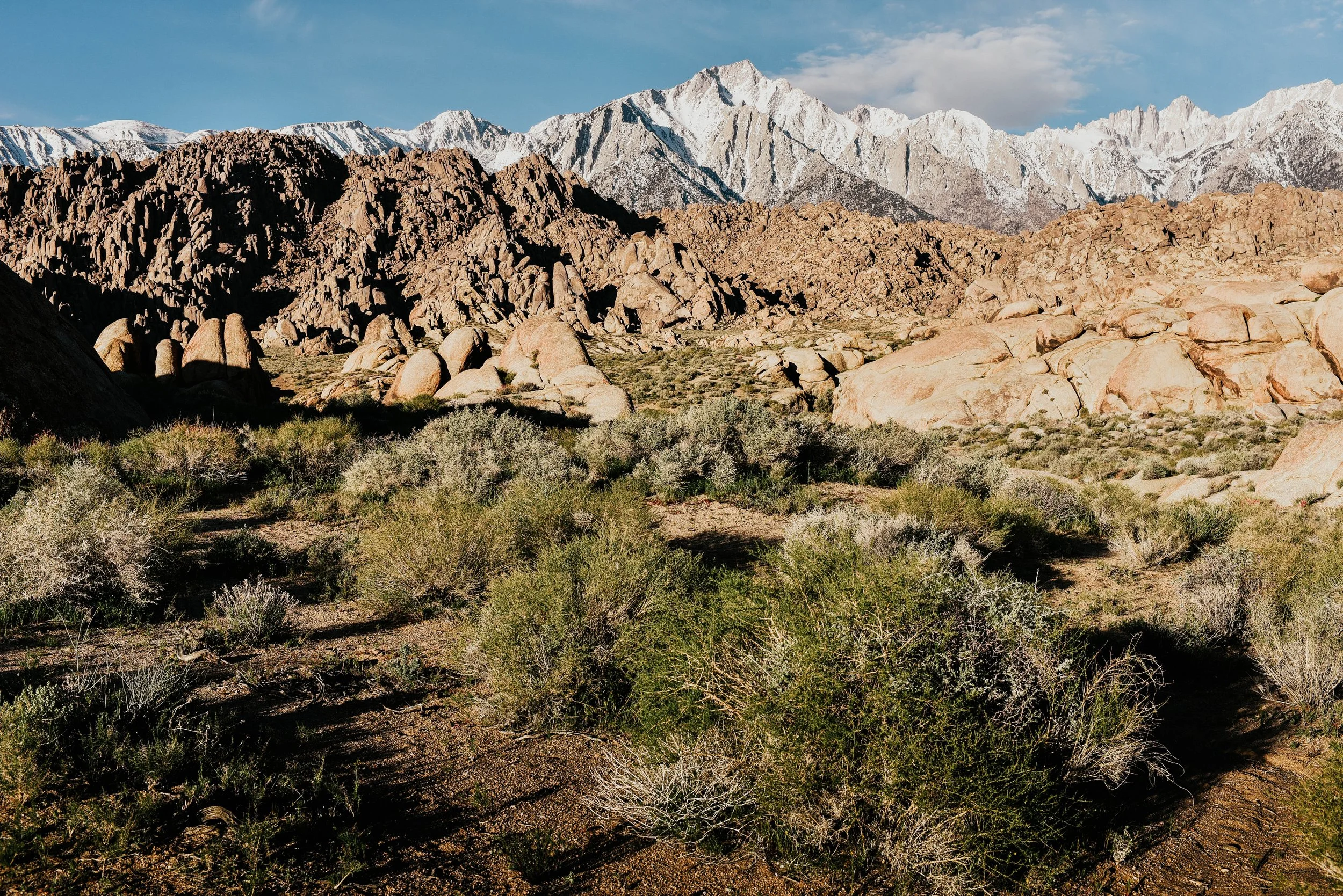 _DSC7438.jpg