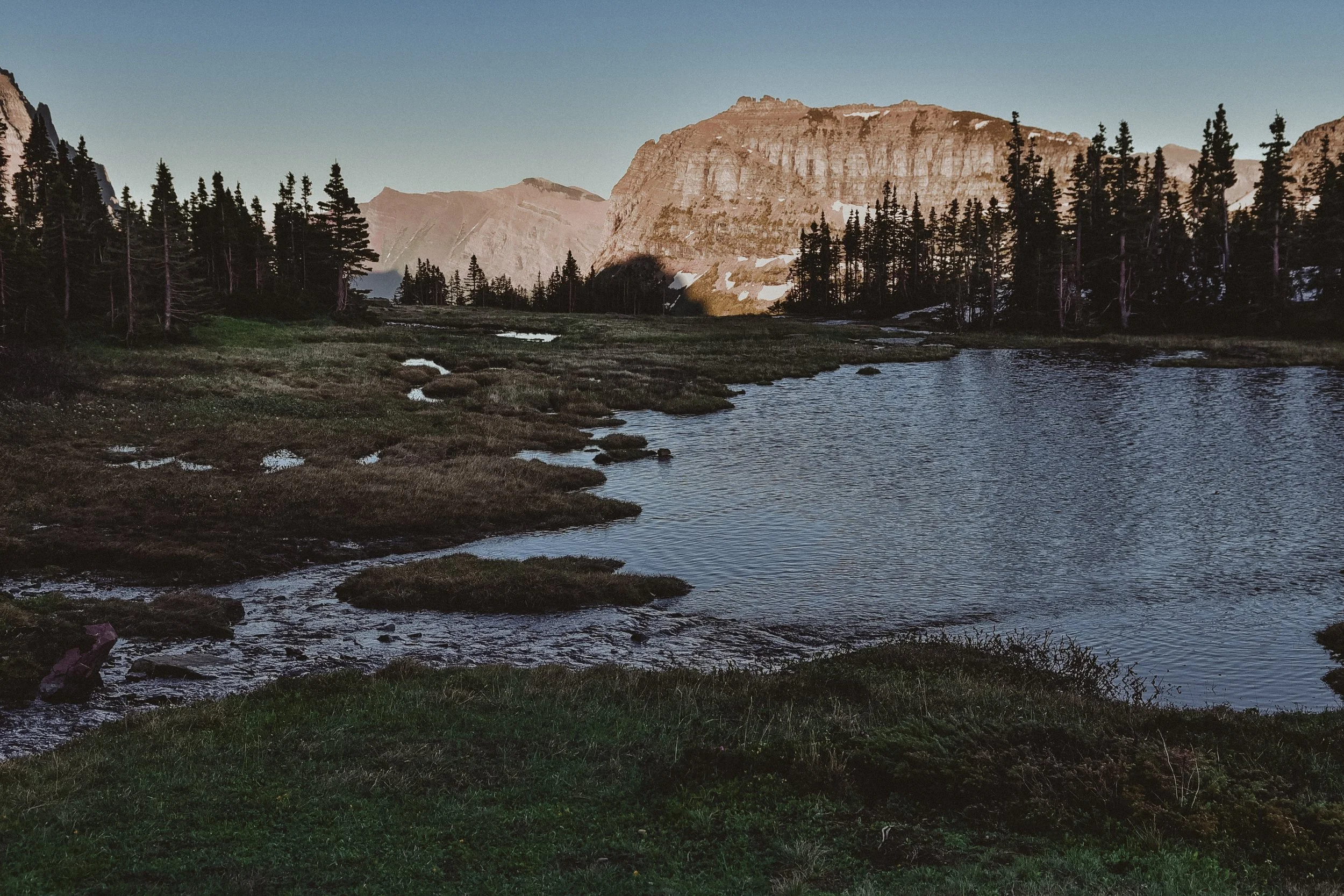 DSC_8520.jpg