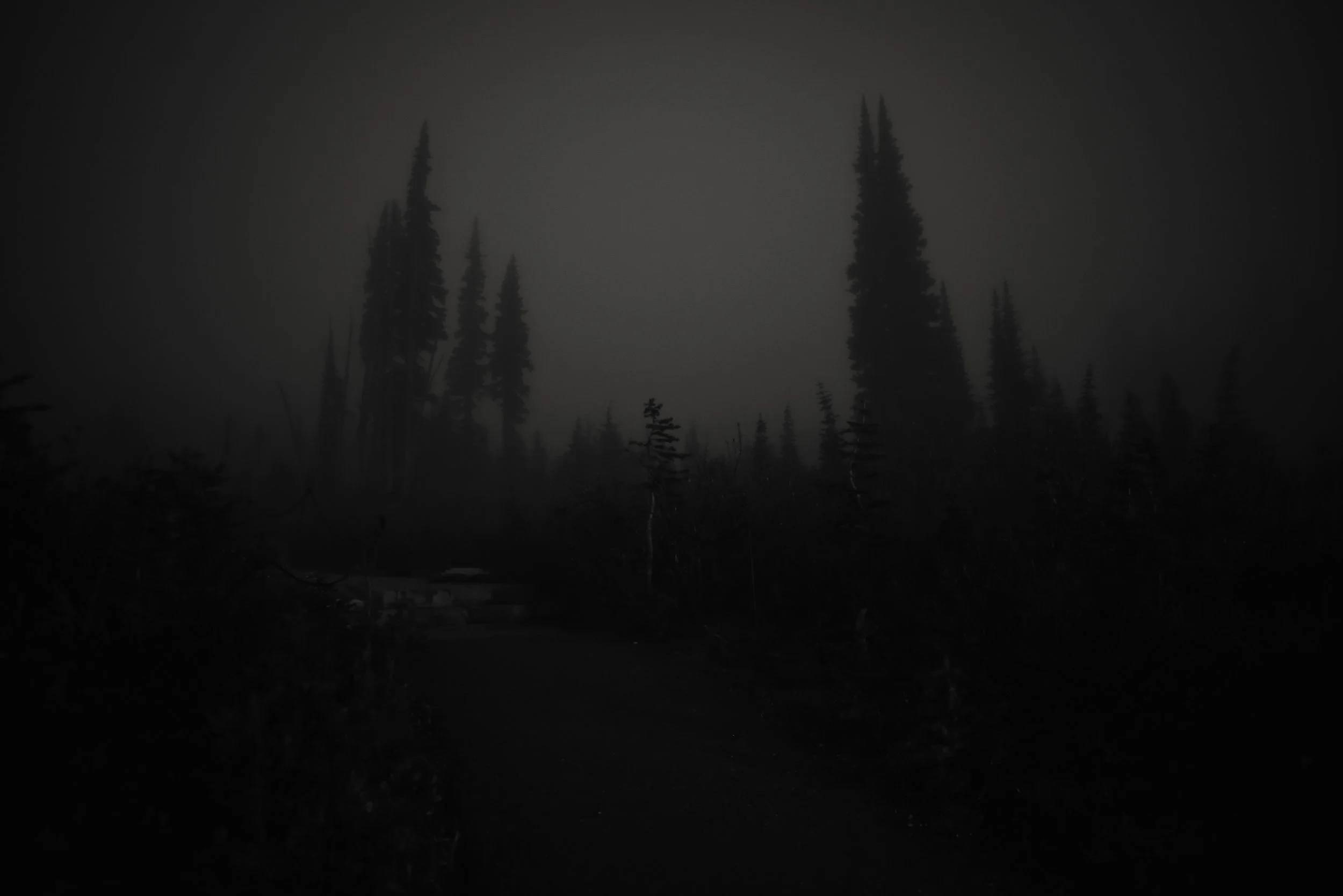 DSC_2546.jpg