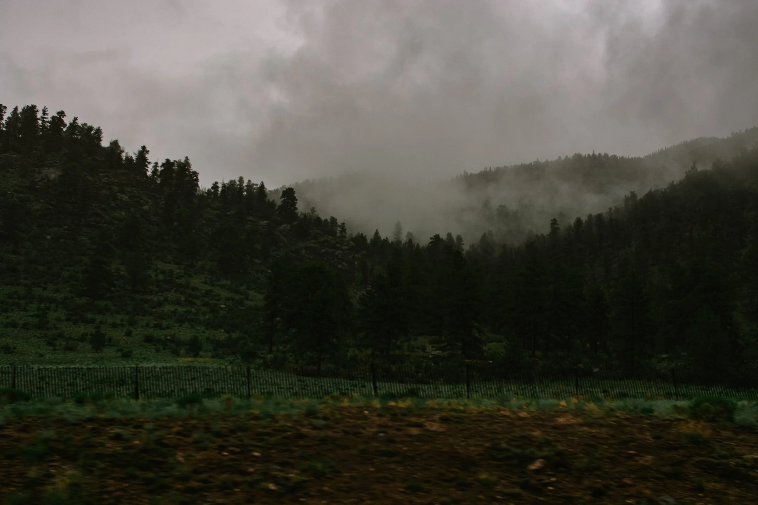 DSC_9225.jpg