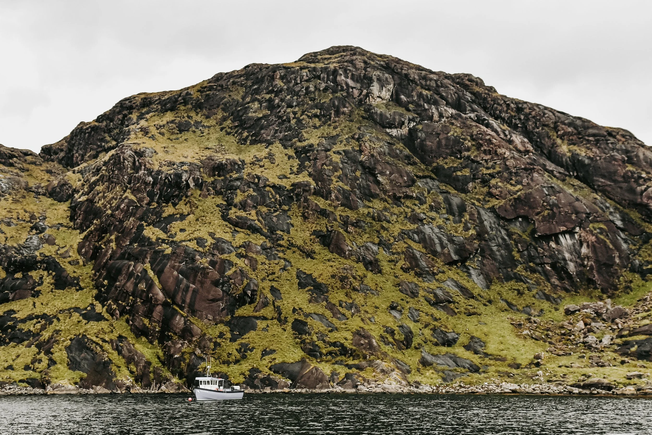 DSC_2719.jpg
