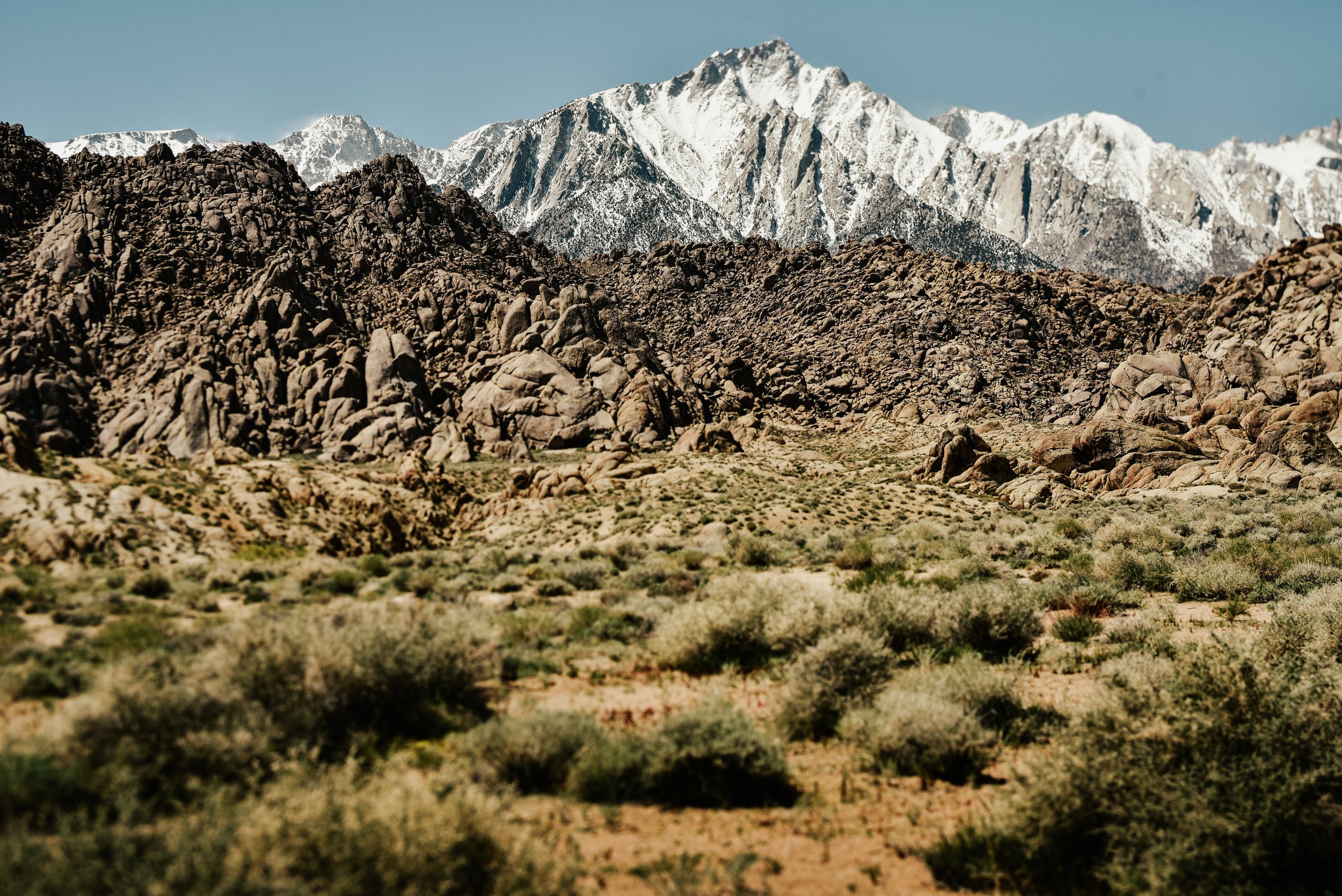 _DSC8208.jpg