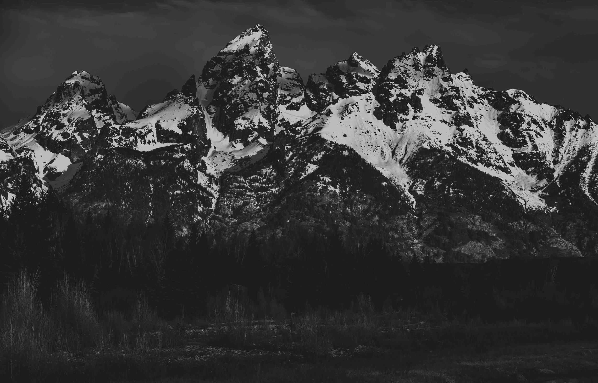 DSC_5943.jpg