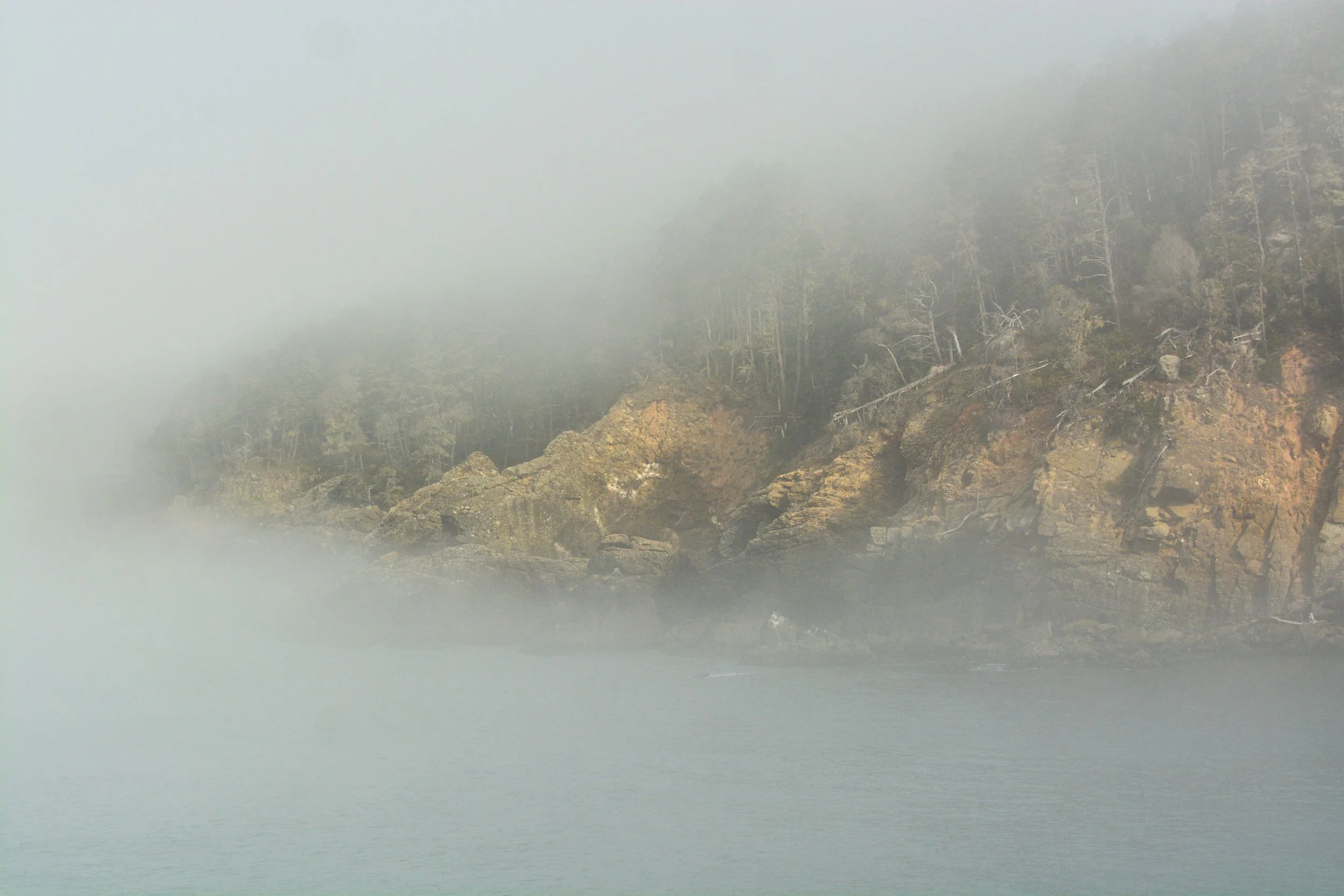 DSC_5415.jpg