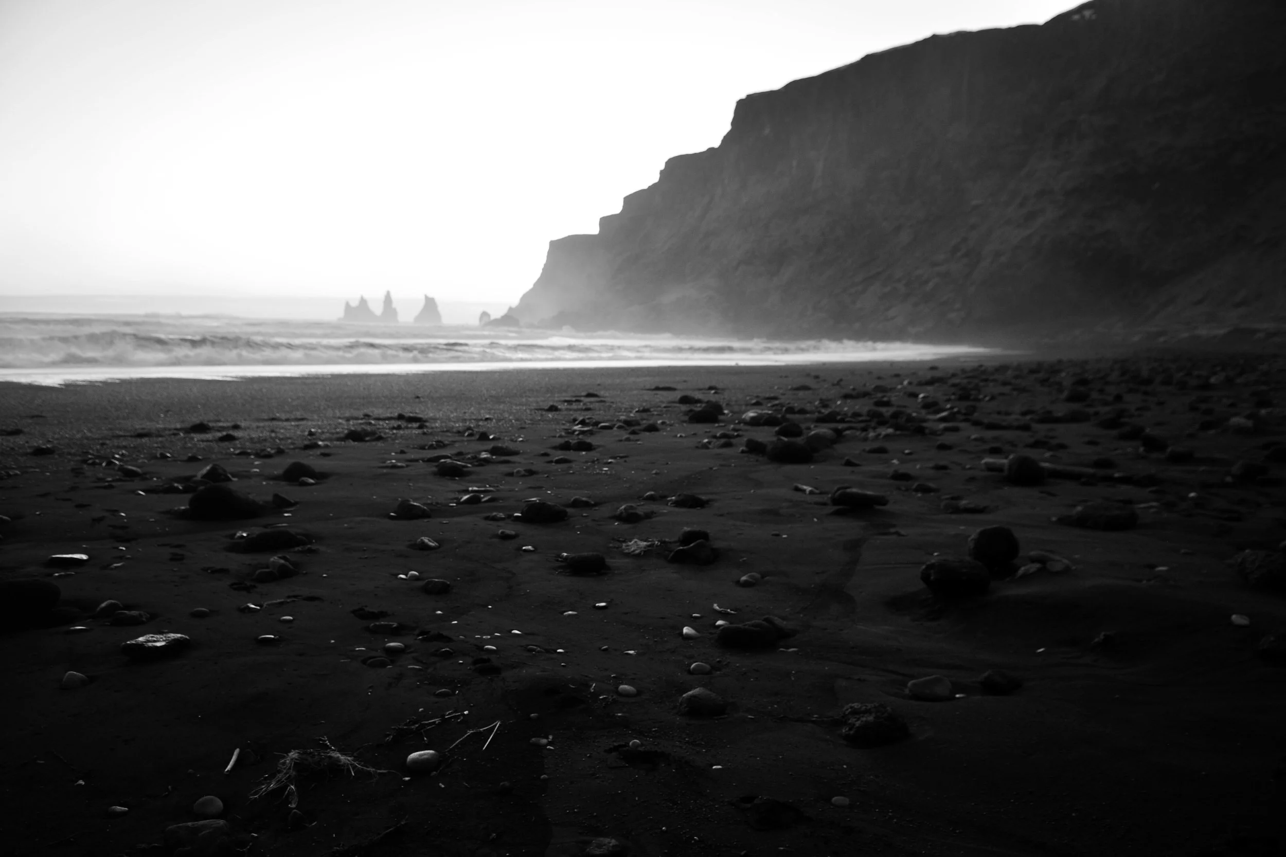 DSC_8595hsml.jpg