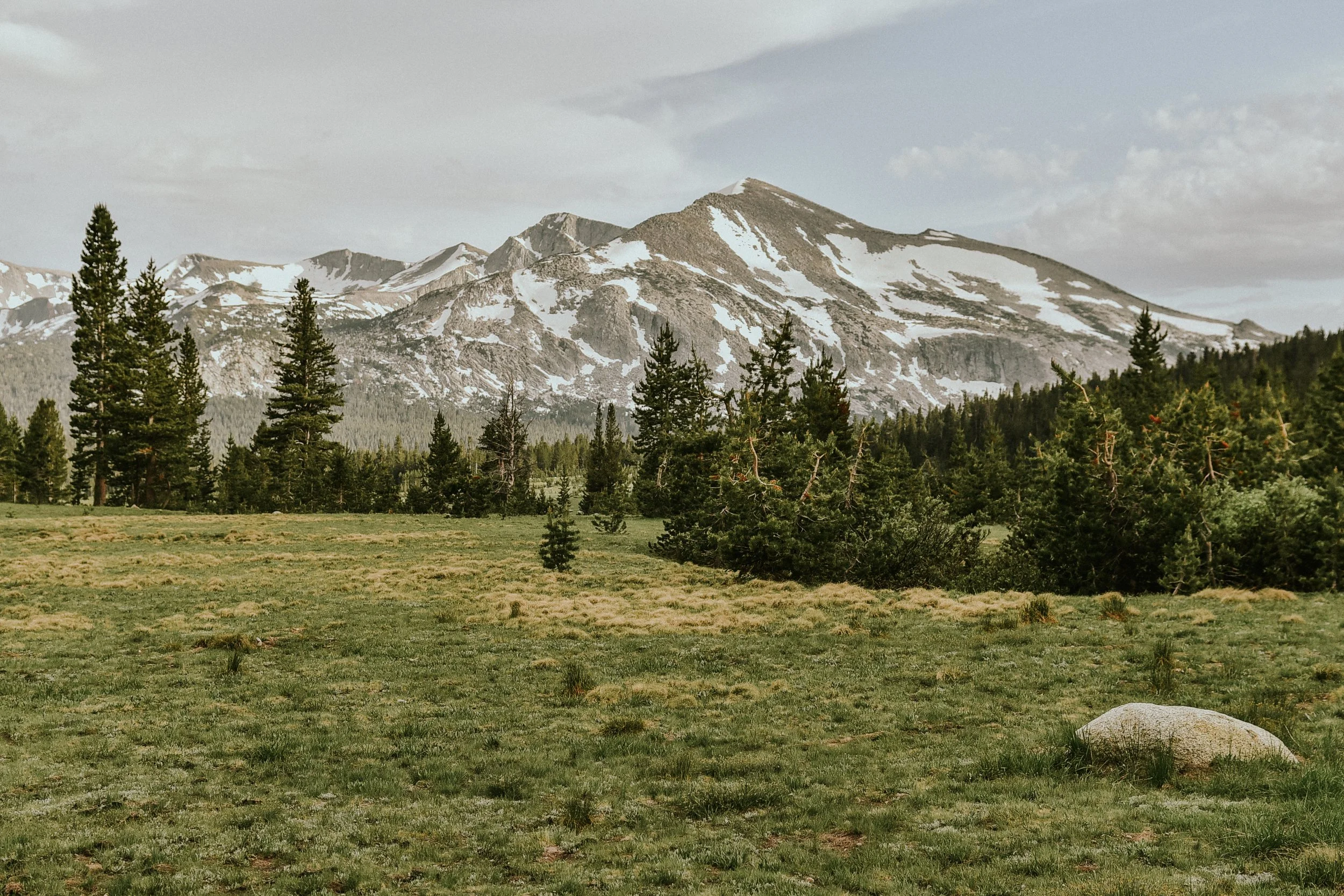 DSC_8606.jpg