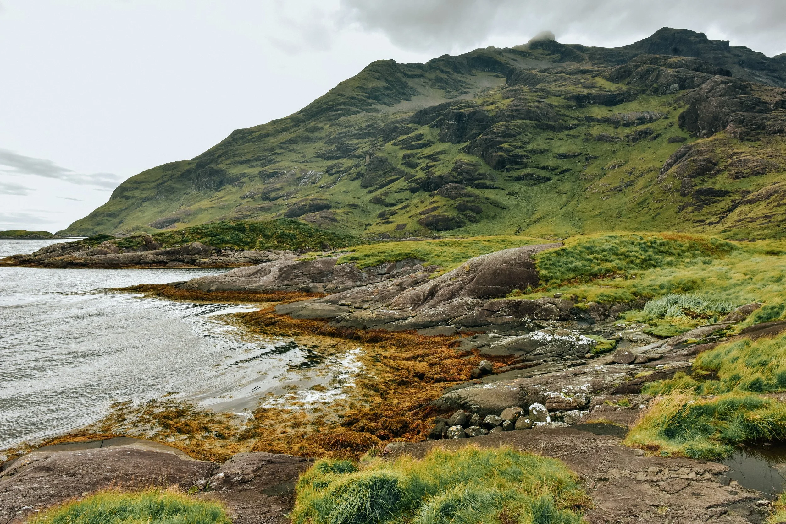 _DSC2575.jpg