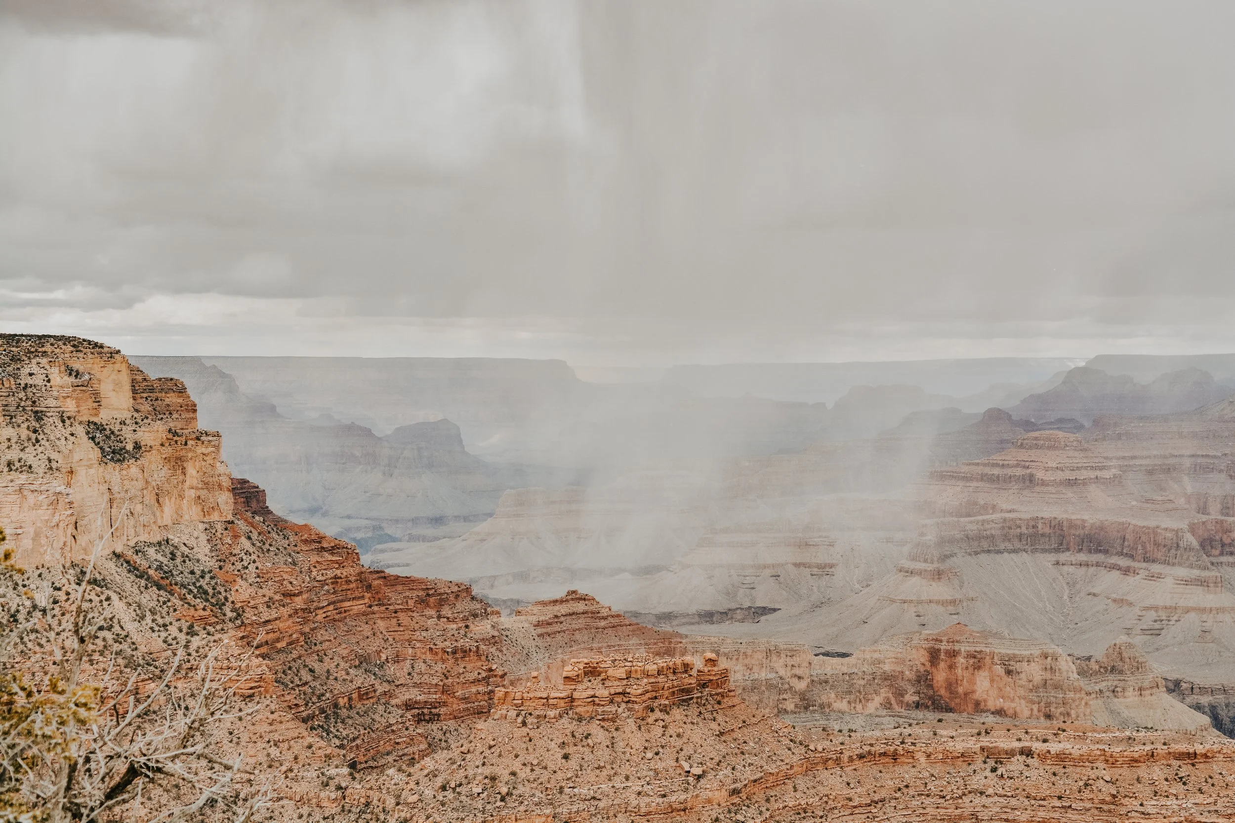 DSC_6999.jpg