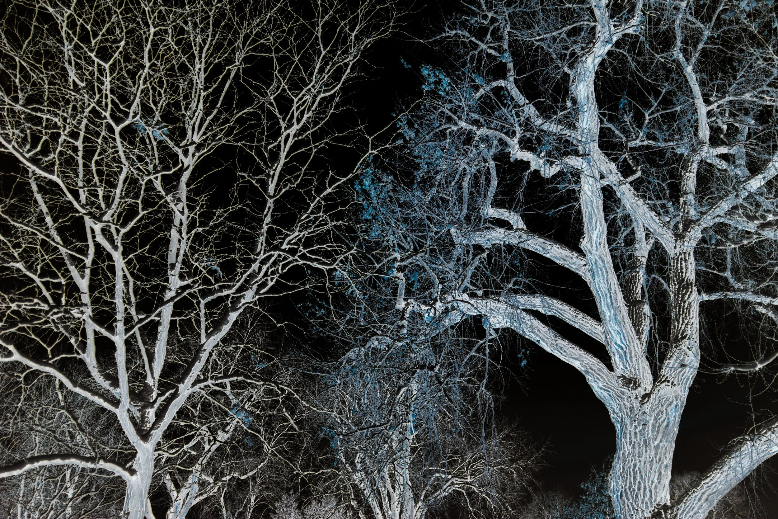 DSC_6047.jpg