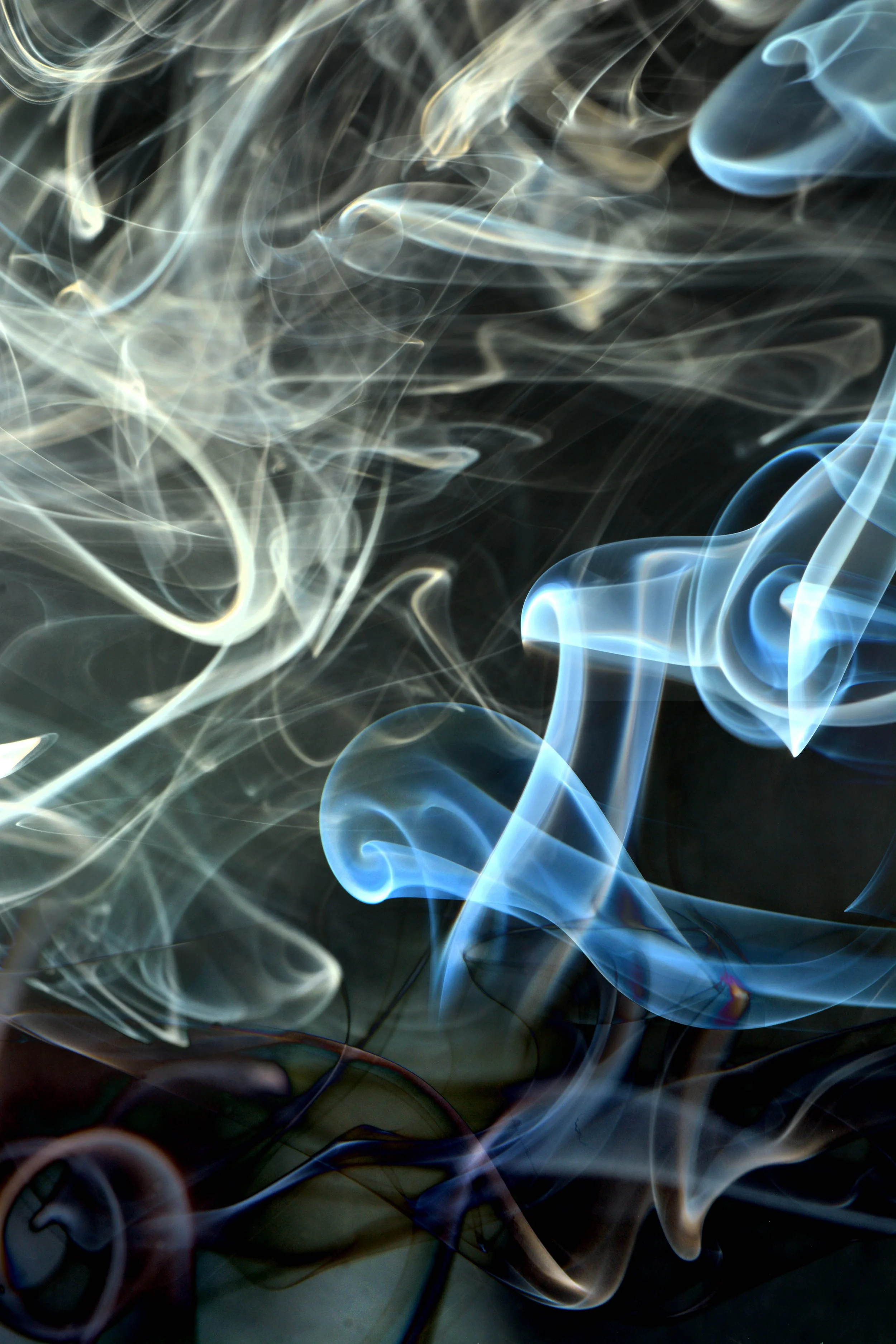 DSC_3599fsml.jpg