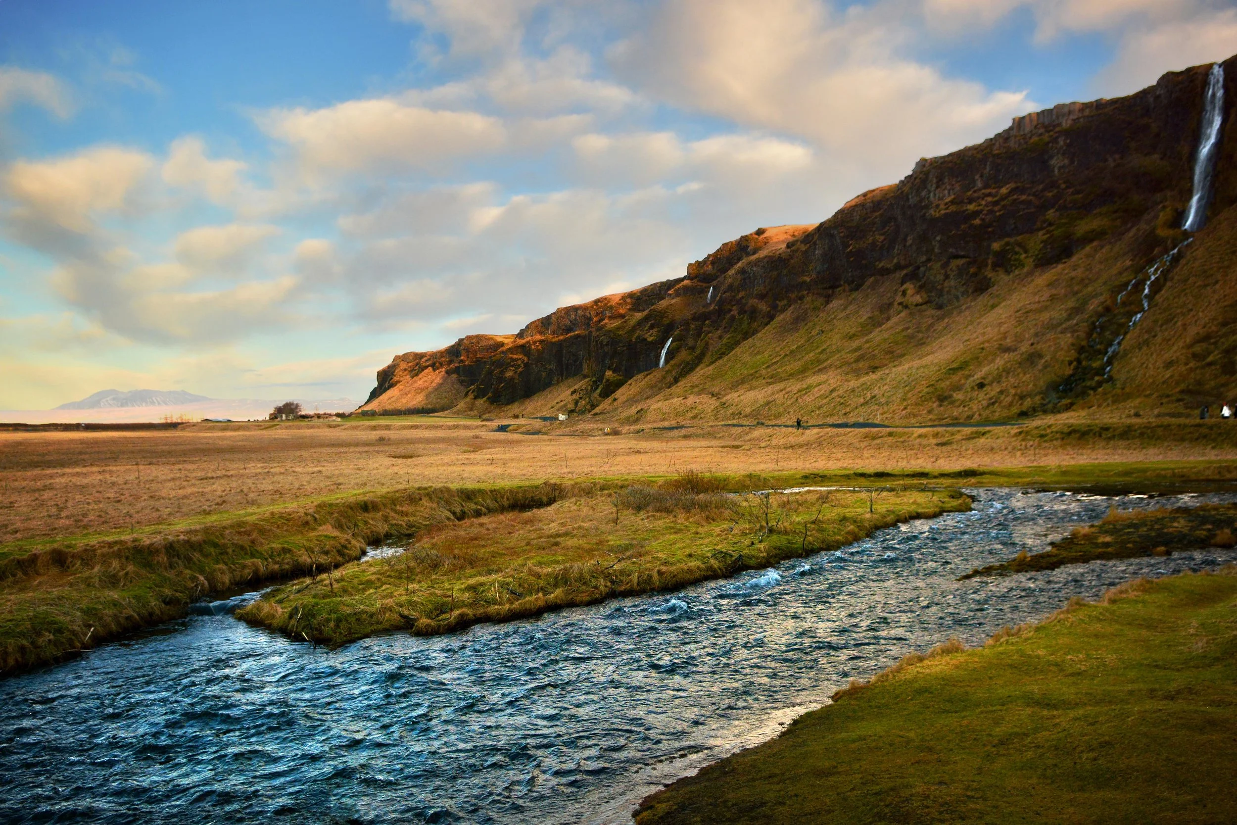 DSC_7884sml.jpg