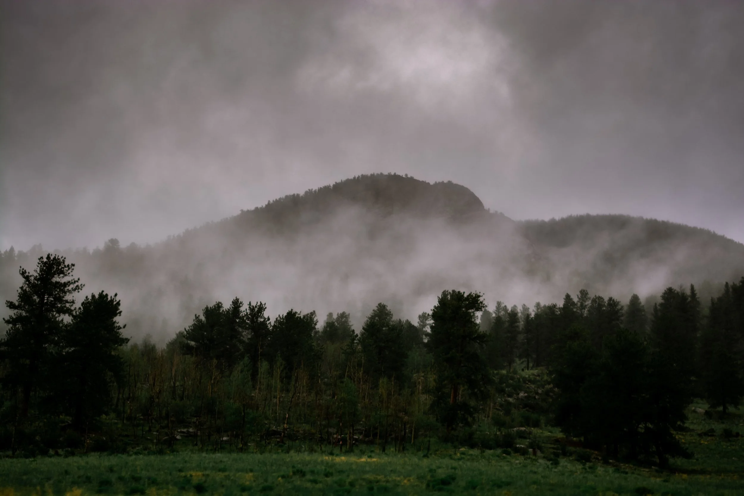 DSC_9240.jpg