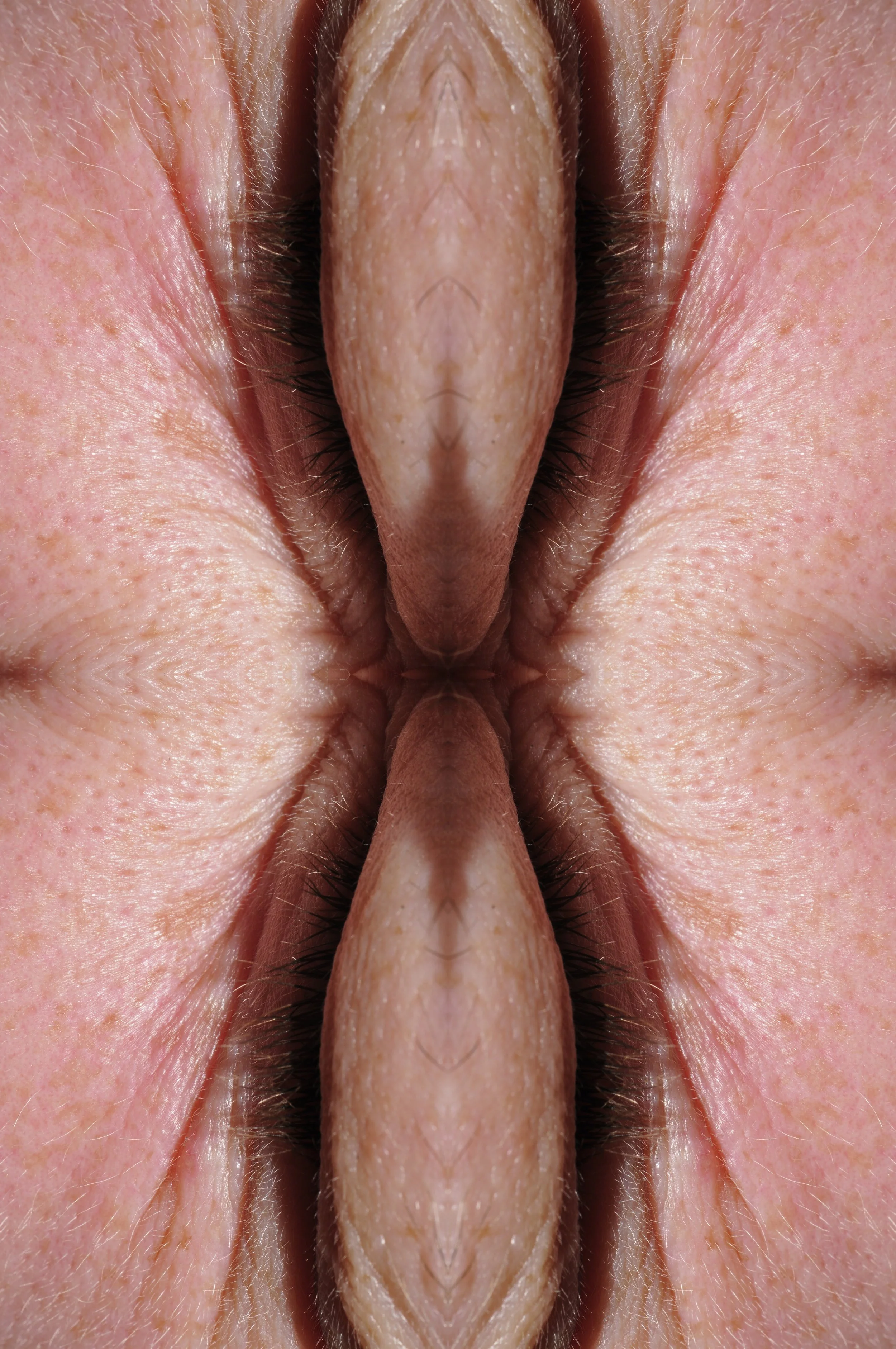 _DSC08999small2.jpg