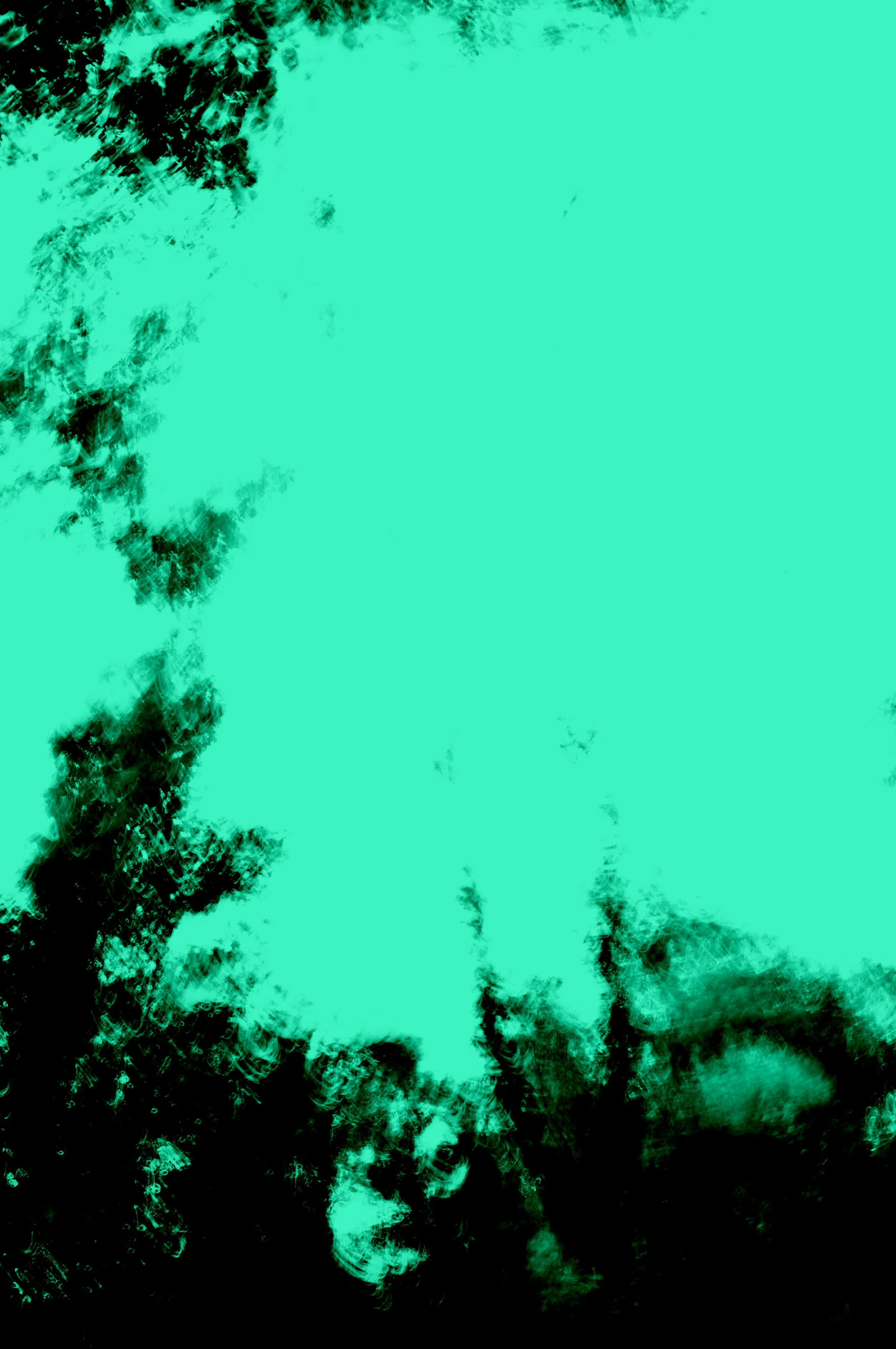 _DSC0241.JPG