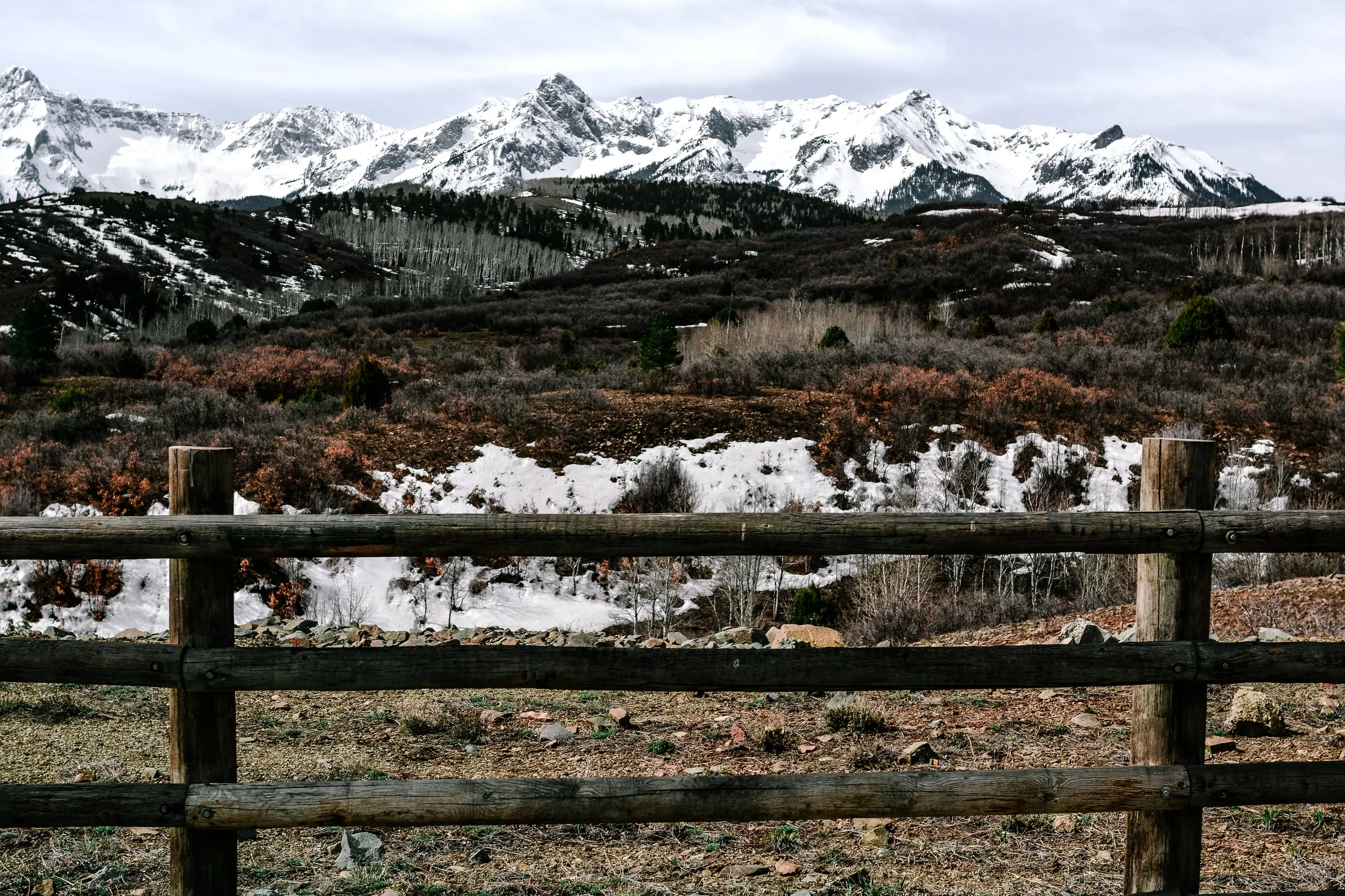 DSC_8306 (2).jpg