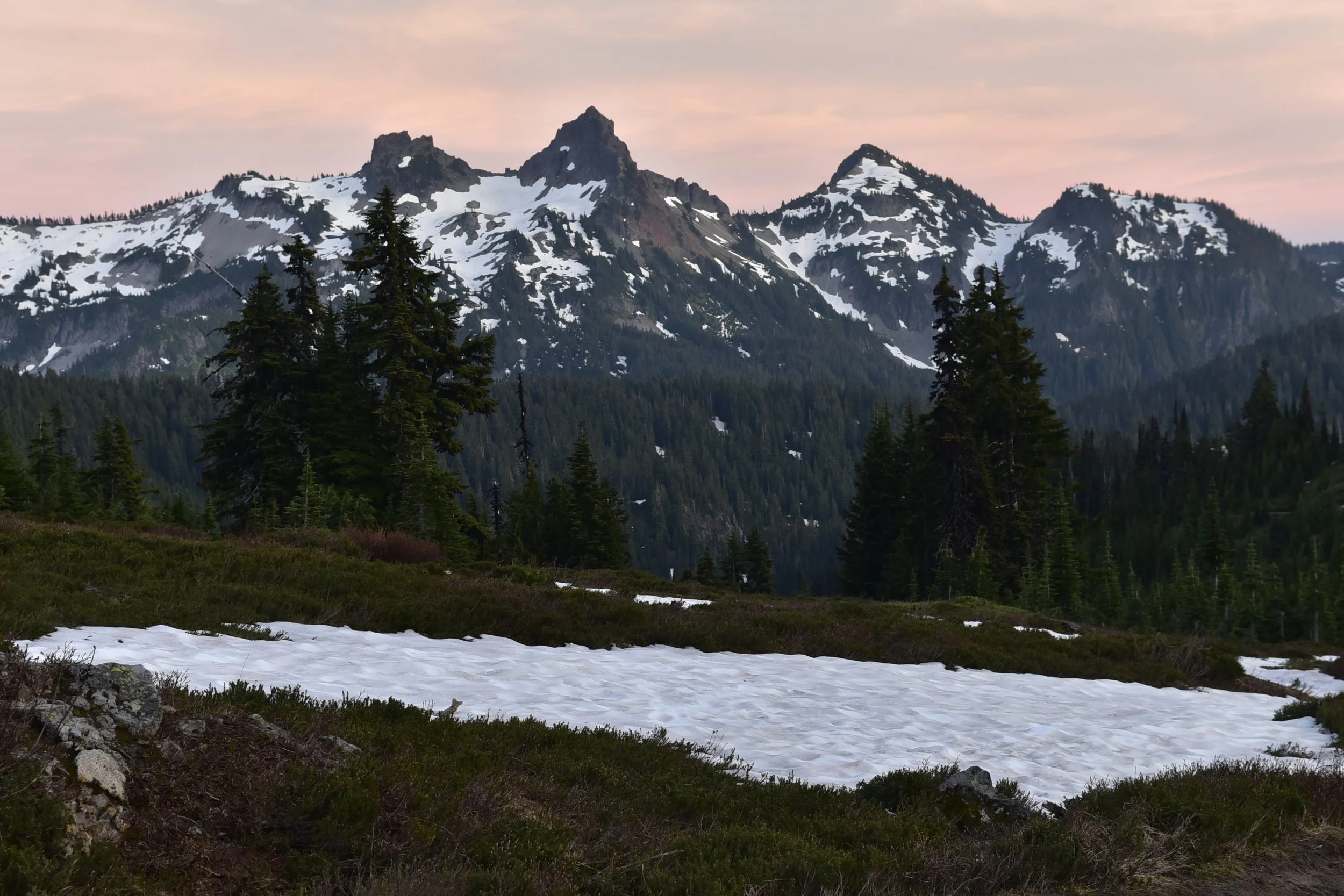 _DSC5856.JPG