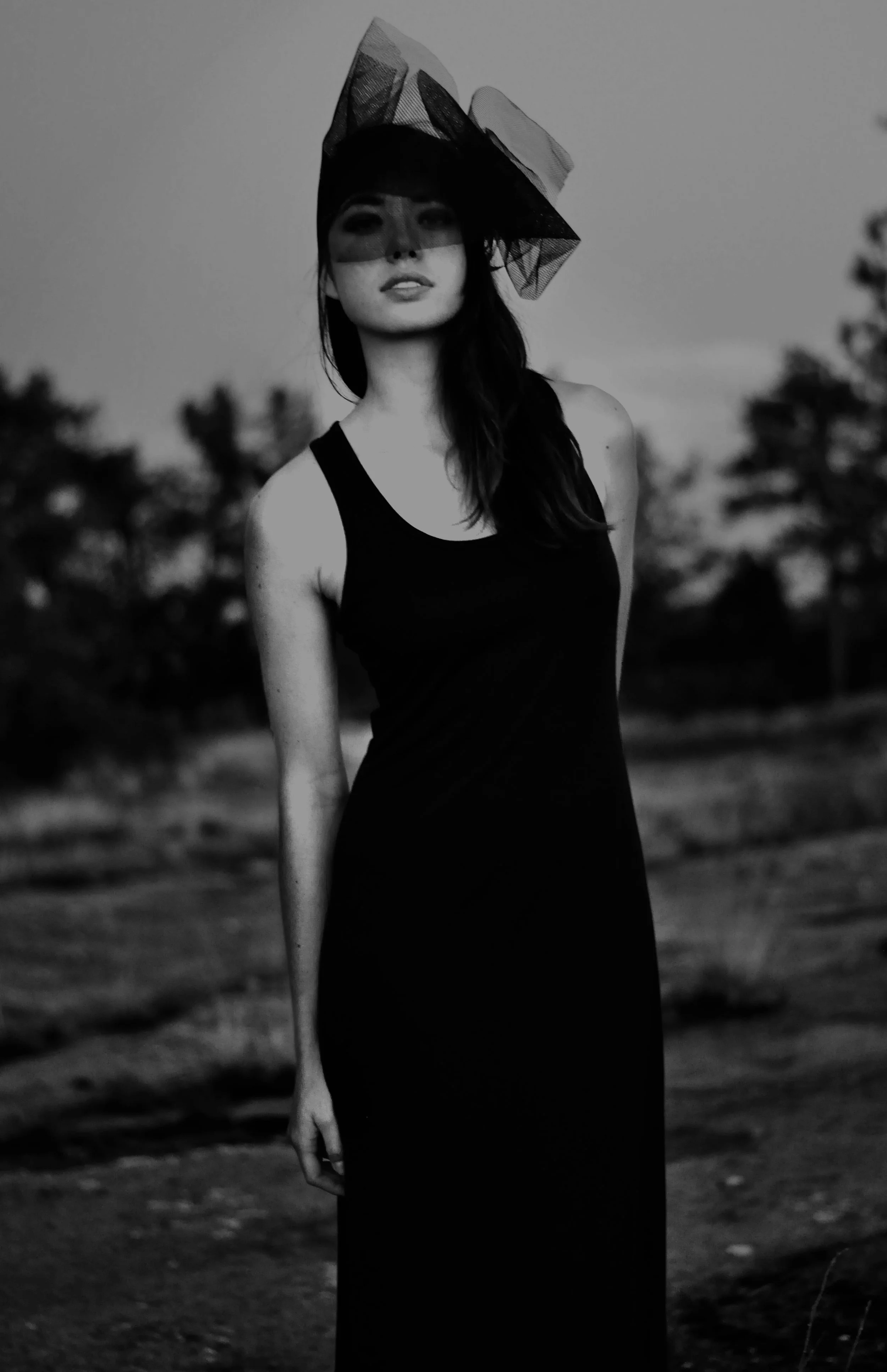 _DSC2137iif.jpg