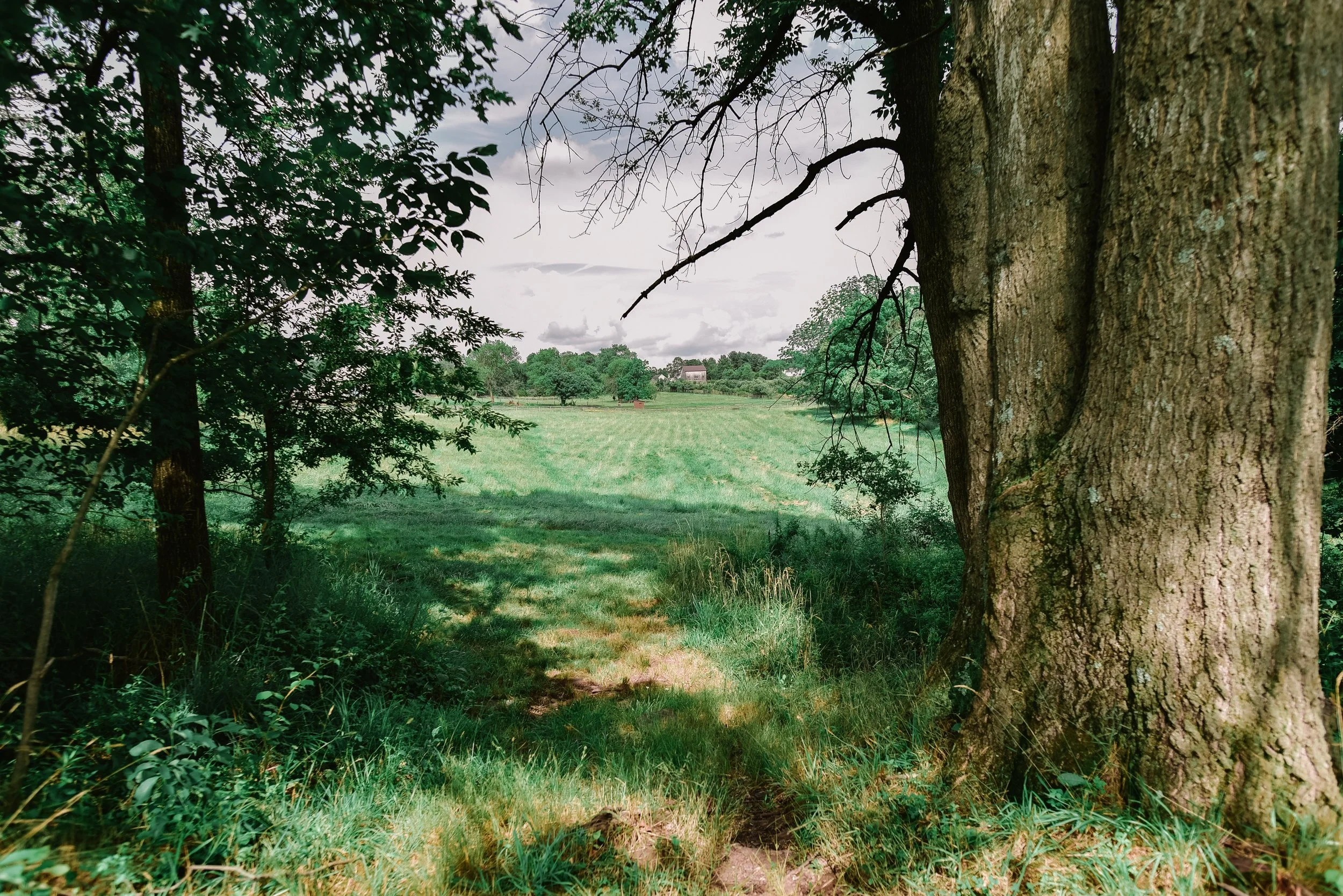 DSC_1061.jpg