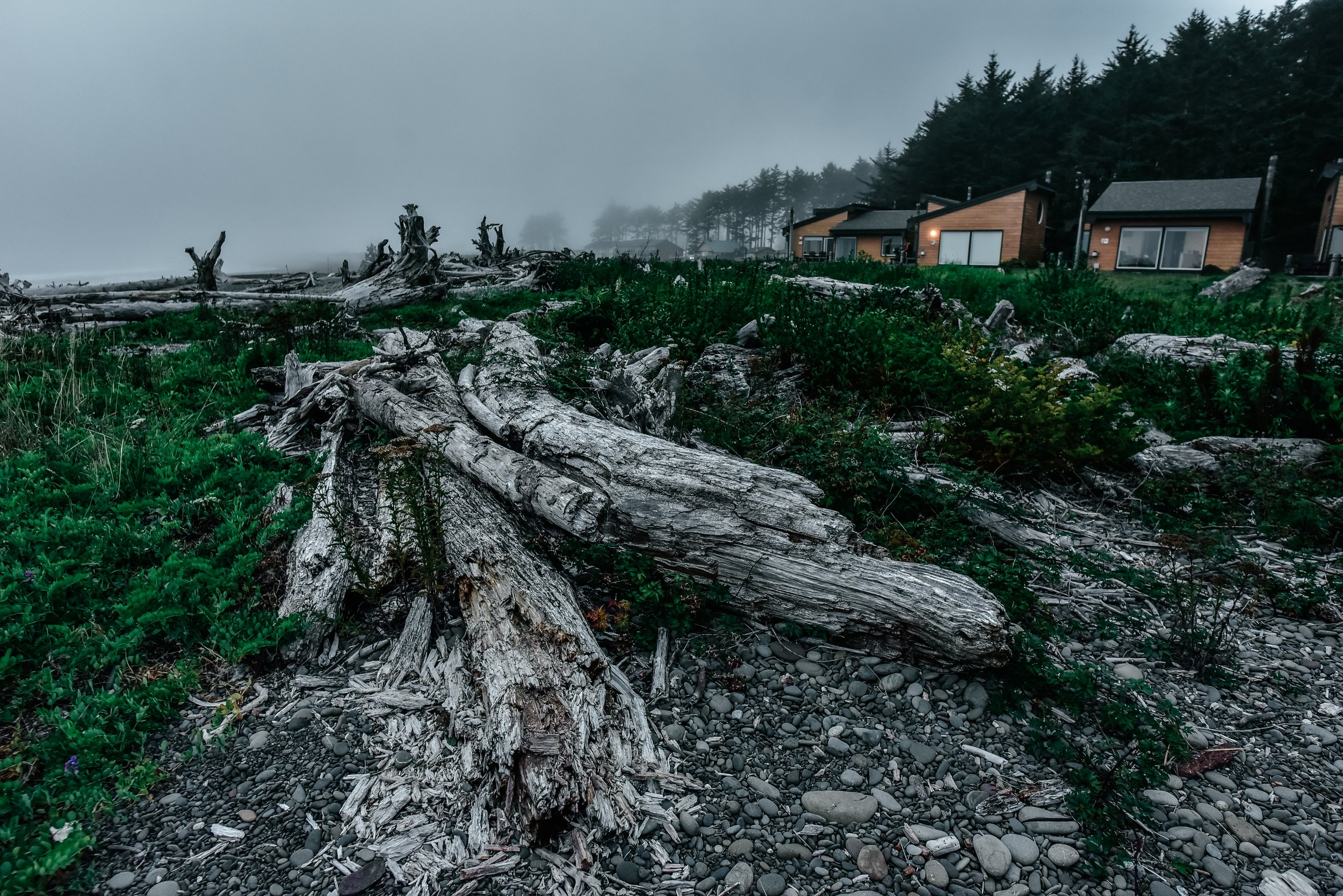 _DSC6584.jpg