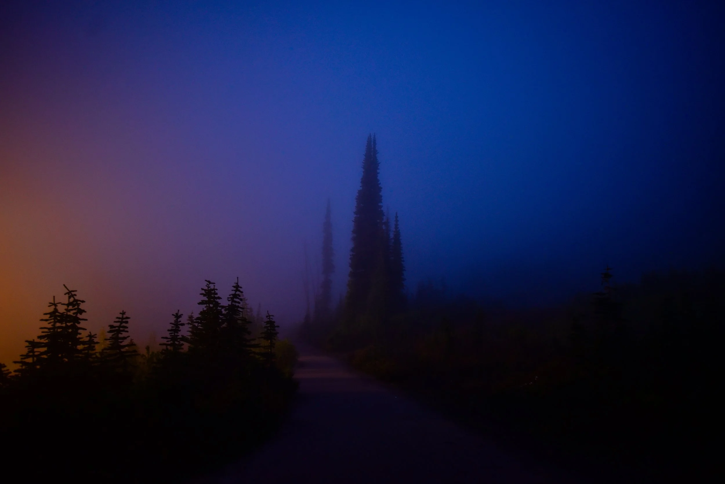 DSC_2569.jpg