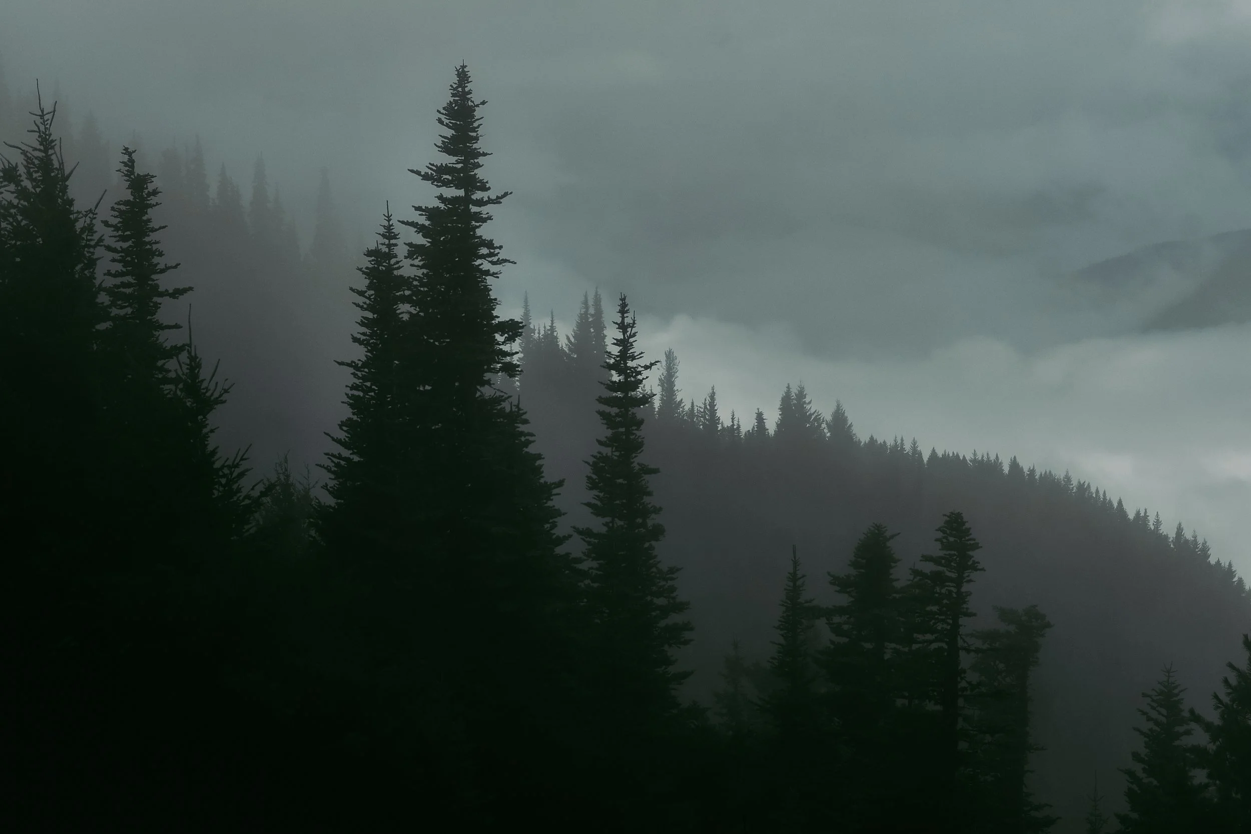 DSC_6794.jpg