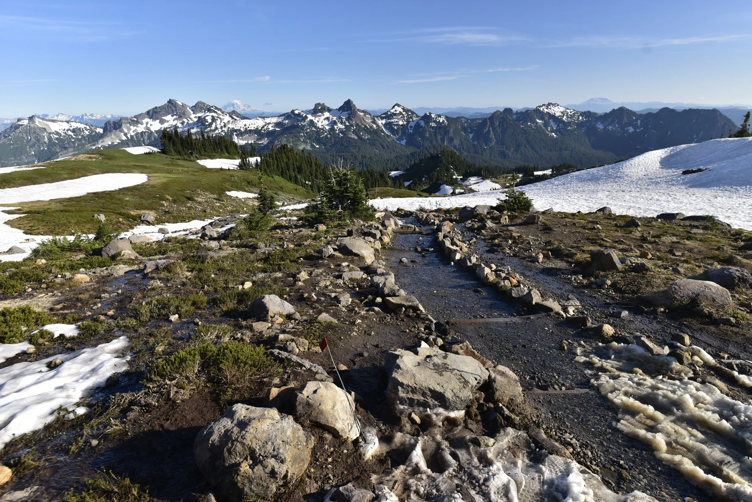 _DSC6384.JPG