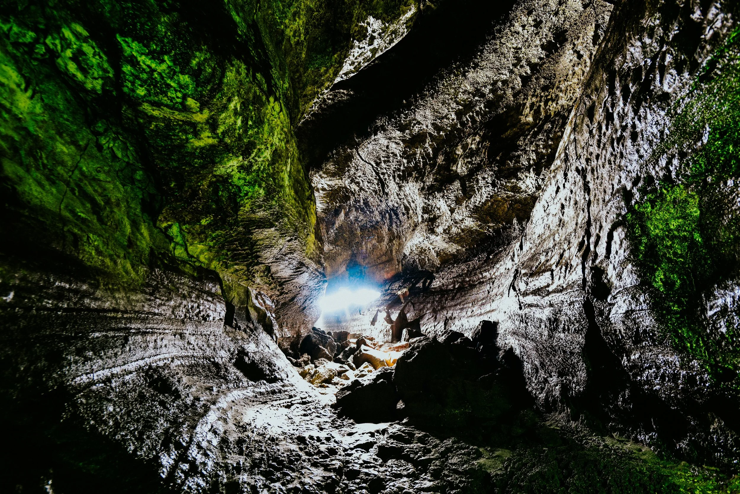 DSC_1950sml.jpg