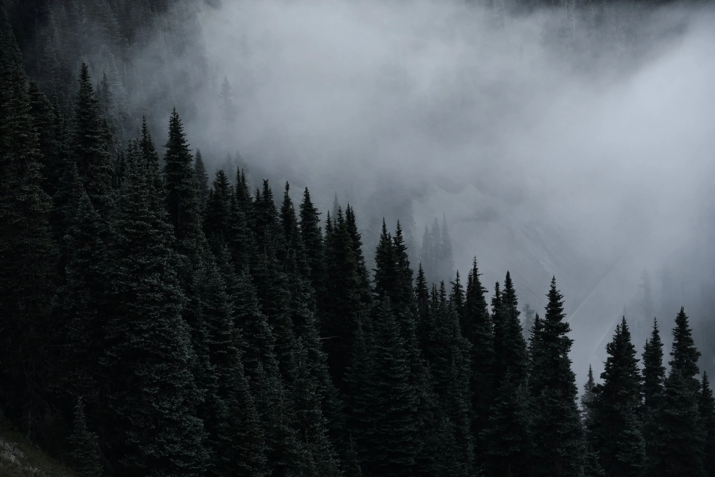 DSC_5407.jpg