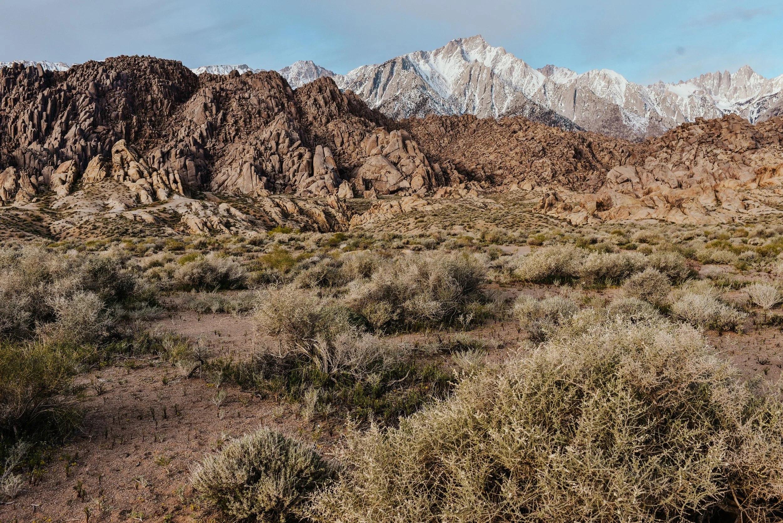 _DSC7265.jpg