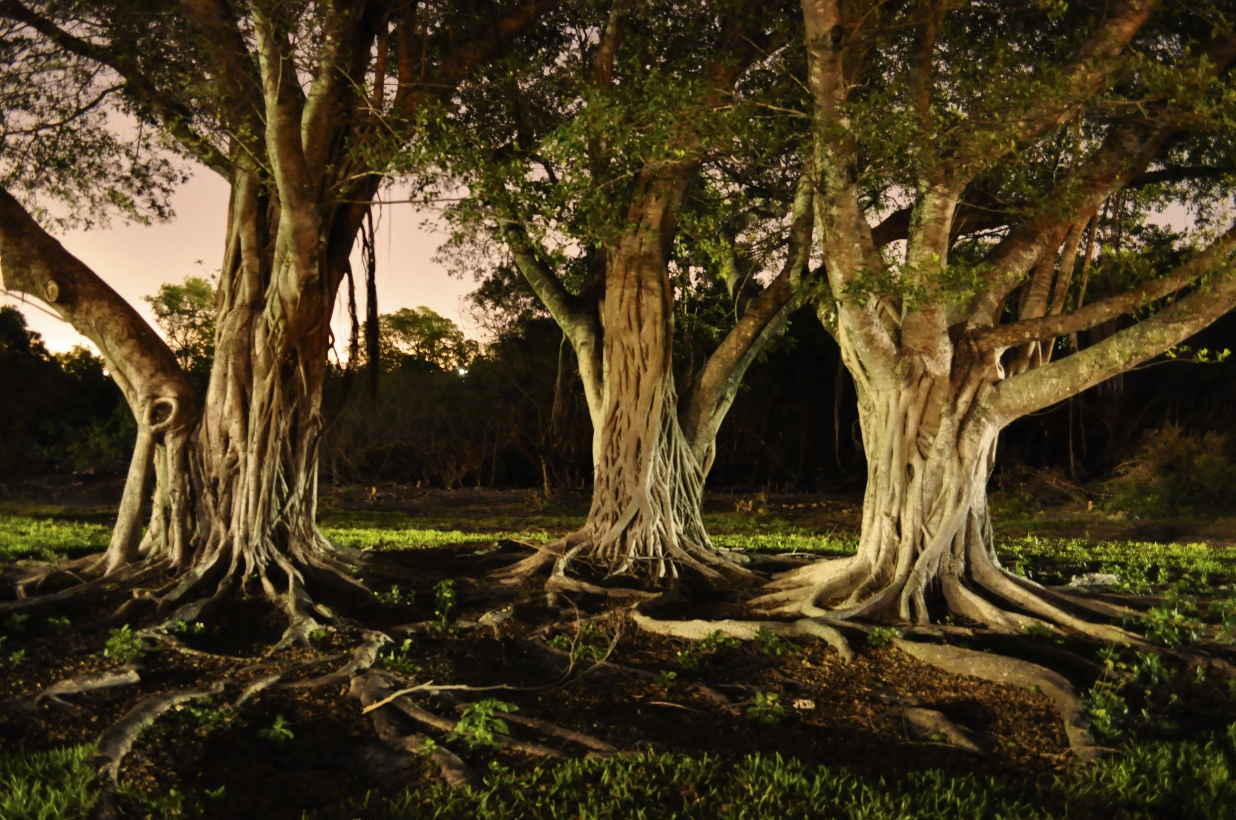 NightPhotos083.JPG