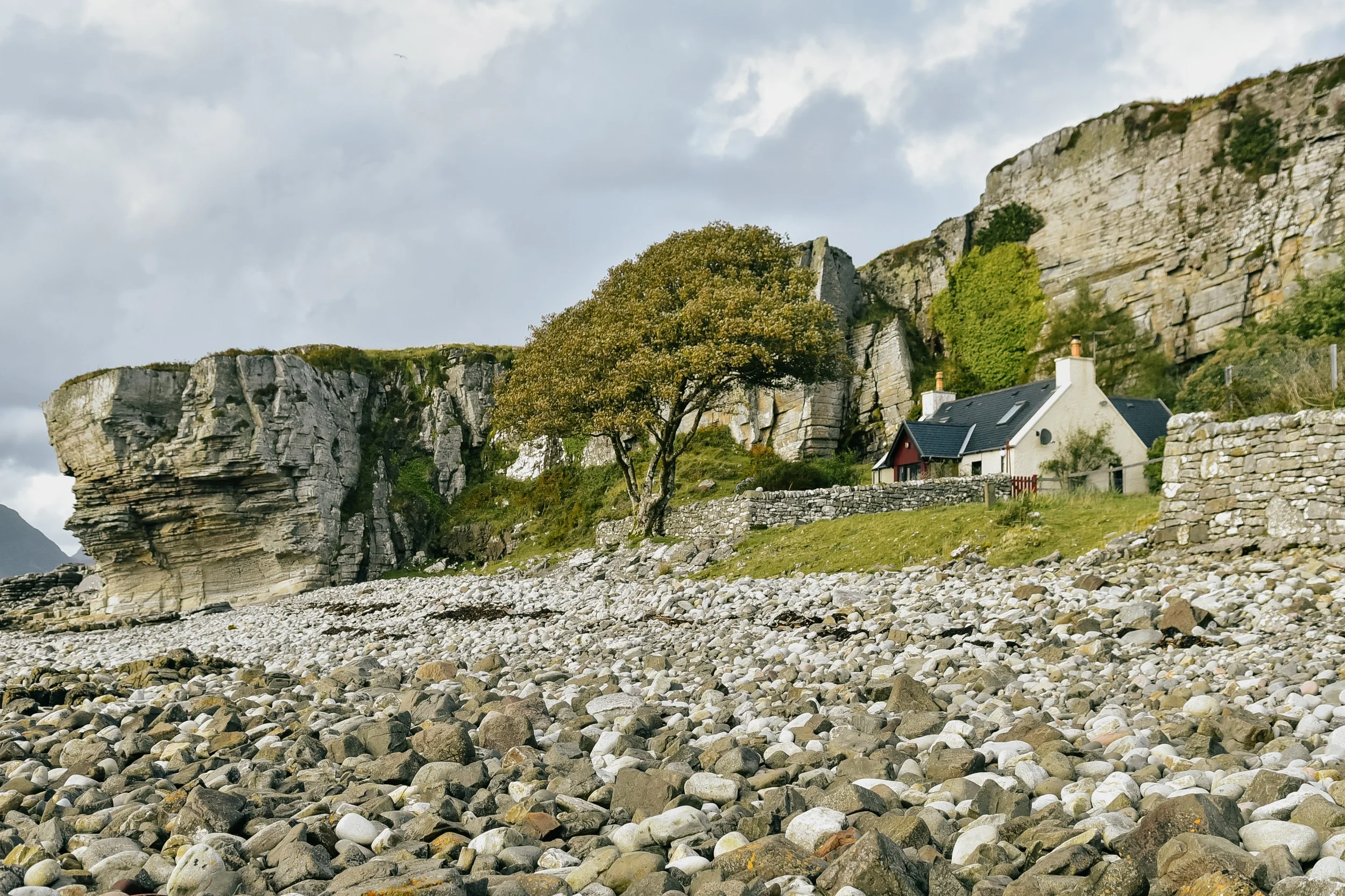 DSC_1780.jpg