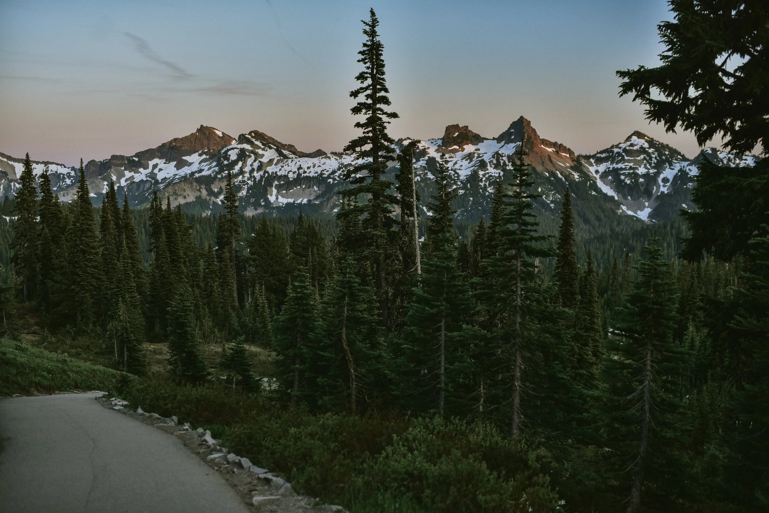 DSC_3734.jpg