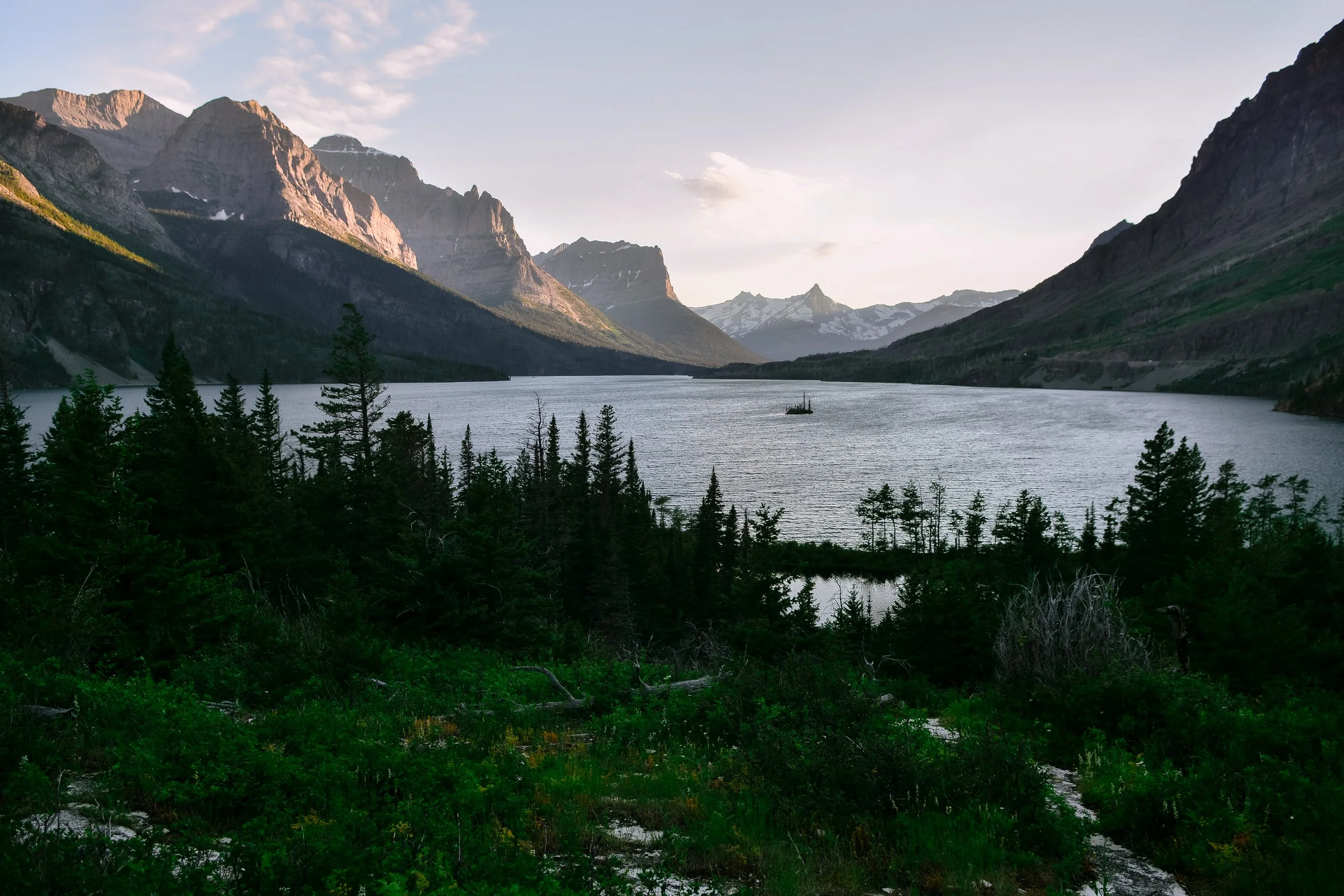 DSC_3527.jpg