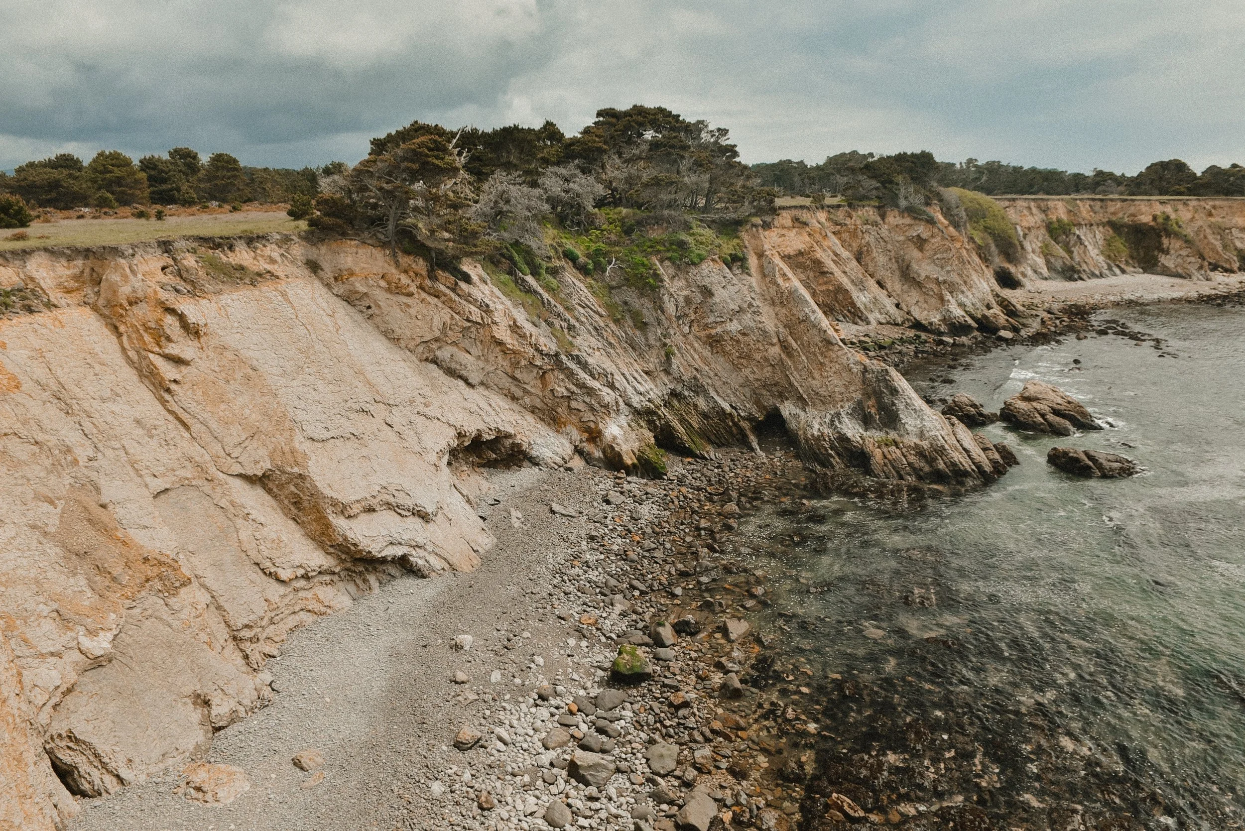 _DSC3755.jpg