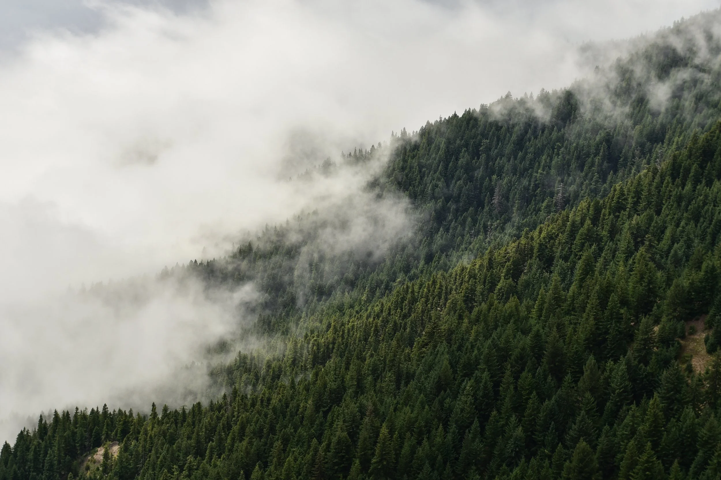 DSC_6487.jpg