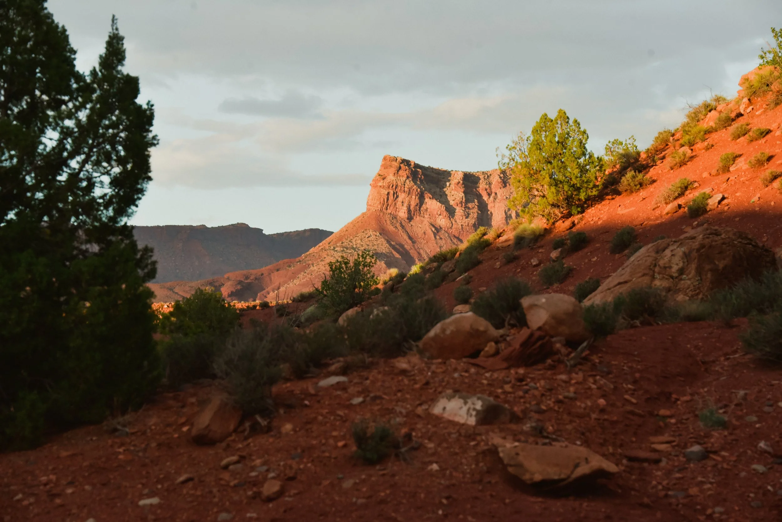 DSC_0970.jpg